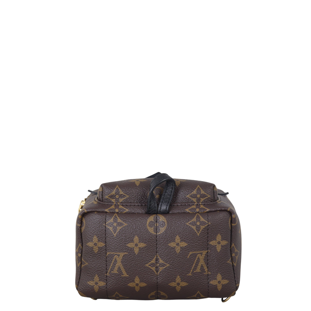 Louis Vuitton Palm Springs Mini Backpack Monogram
