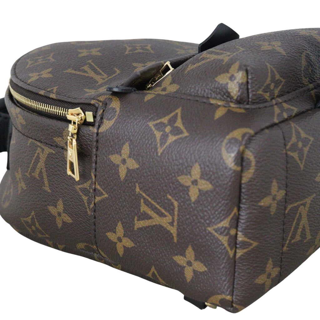 Louis Vuitton Palm Springs Mini Backpack Monogram