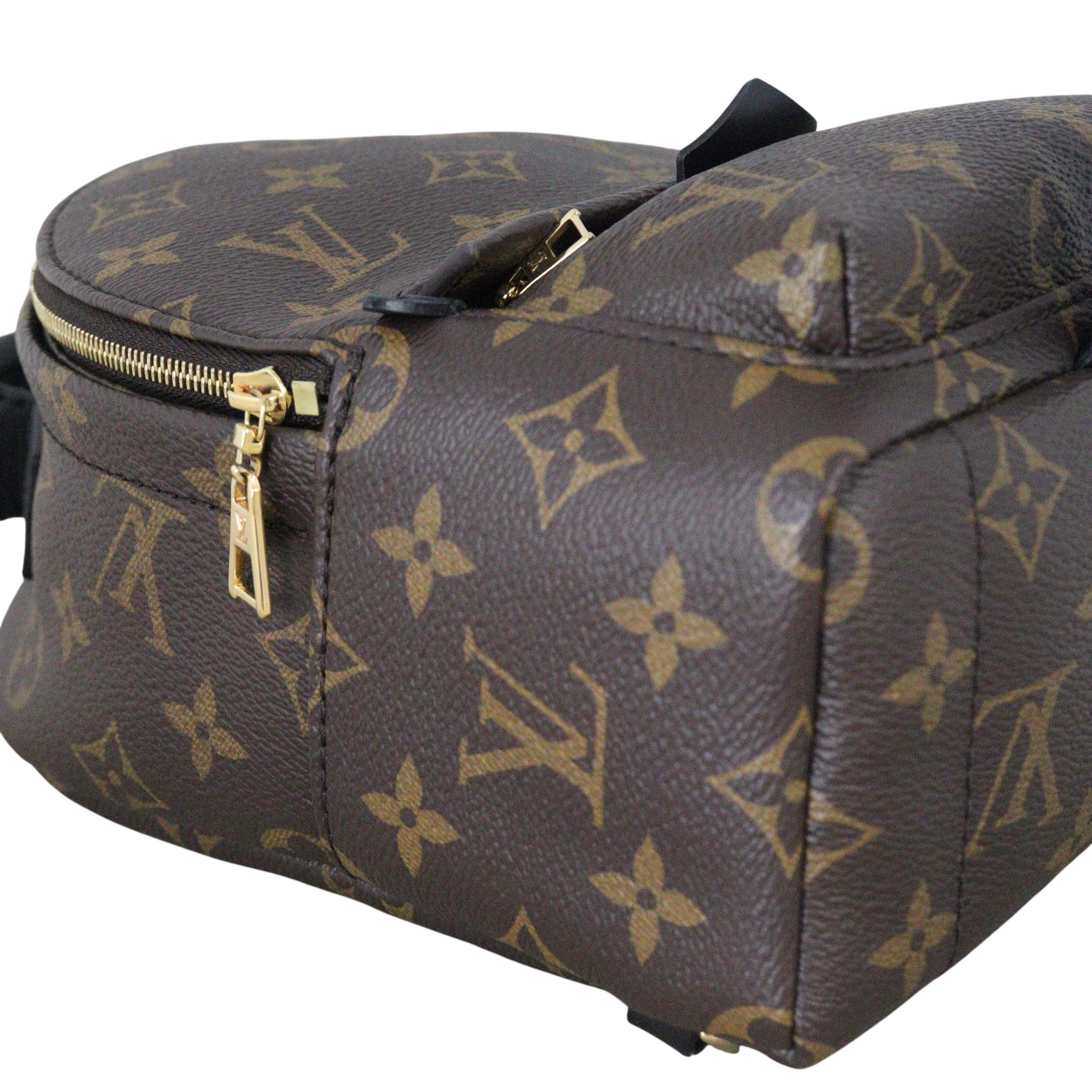 Louis Vuitton Palm Springs Mini Backpack Monogram