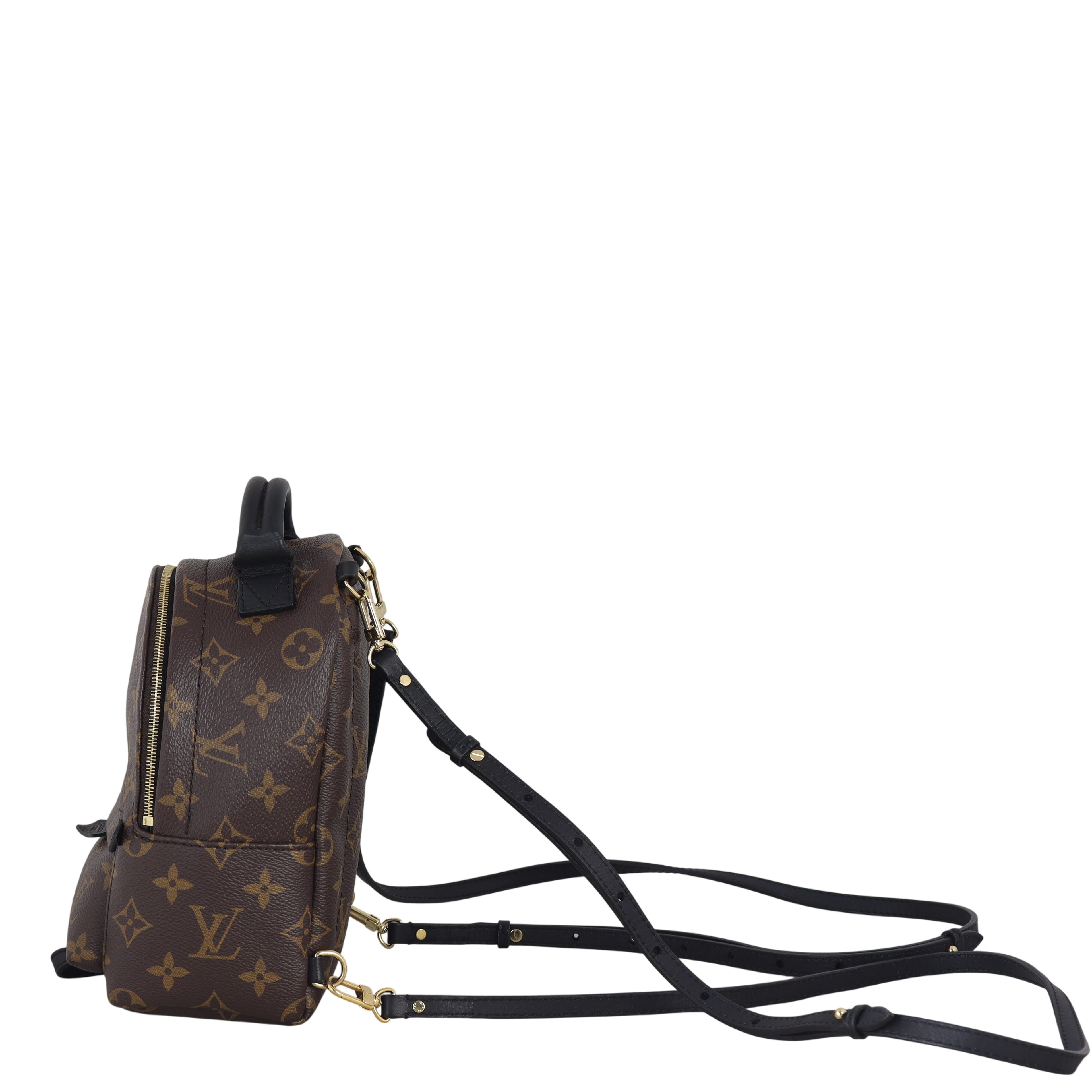 Louis Vuitton Palm Springs Mini Backpack Monogram