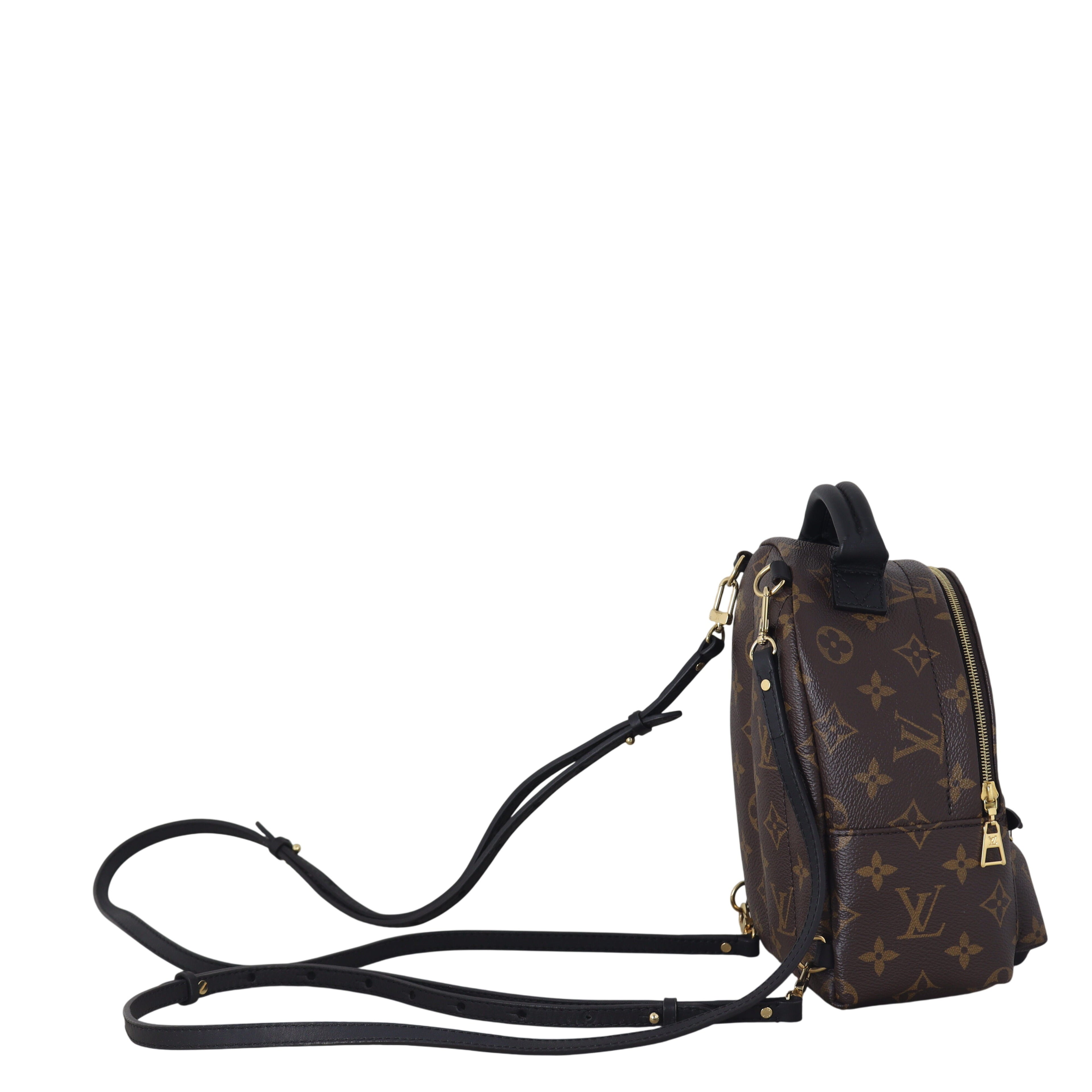 Louis Vuitton Palm Springs Mini Backpack Monogram