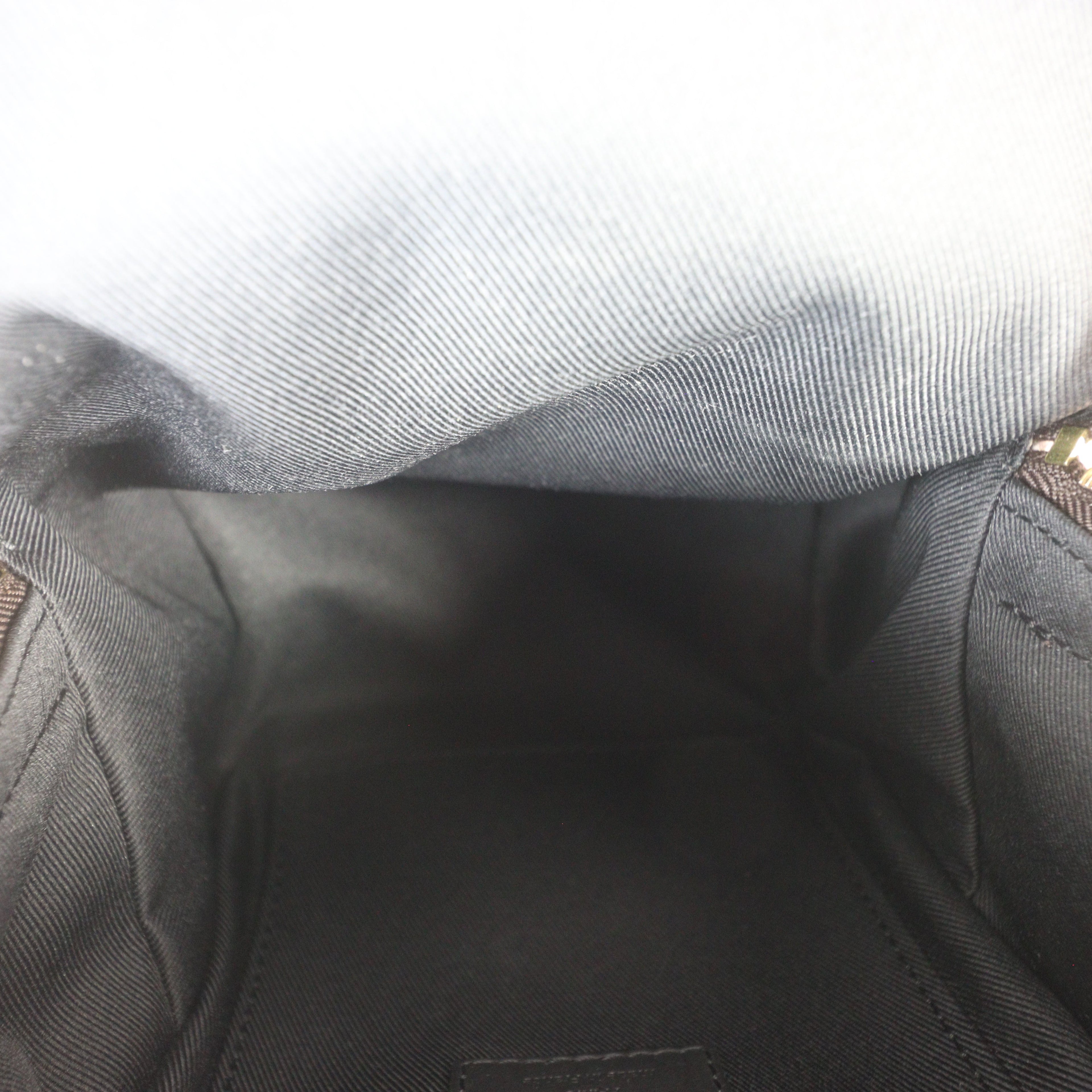 Louis Vuitton Palm Springs Mini Backpack Monogram