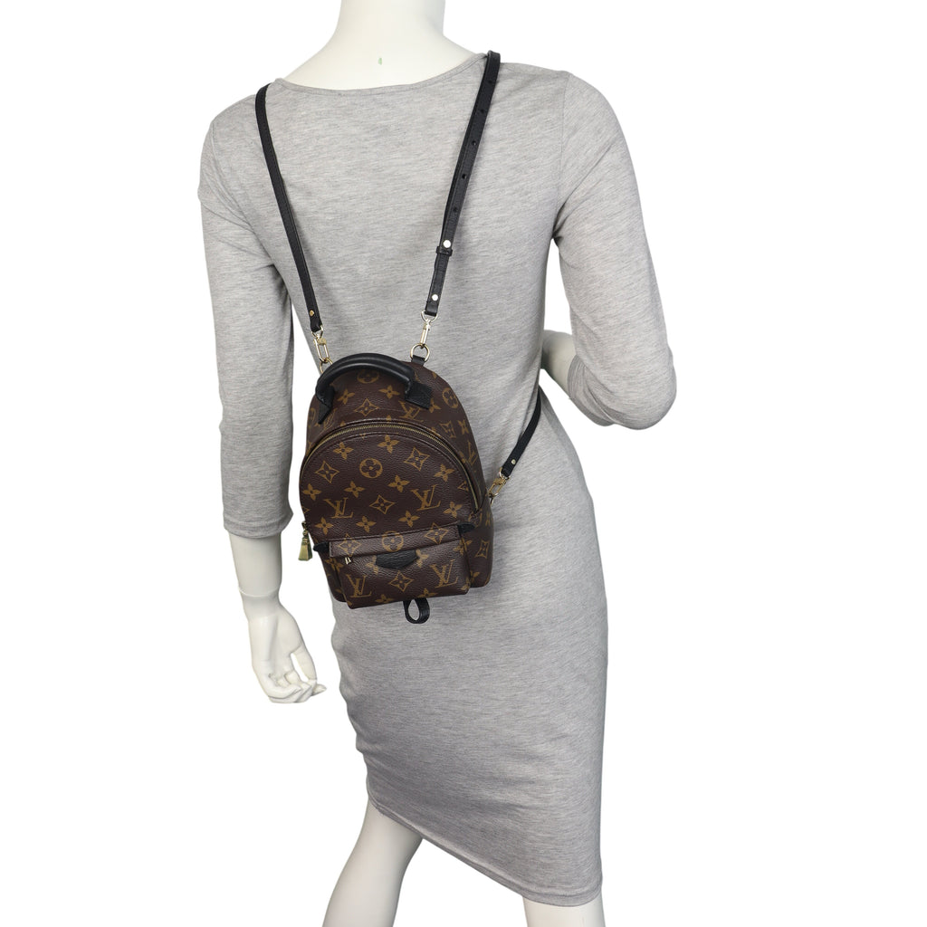 Louis Vuitton Palm Springs Mini Backpack Monogram
