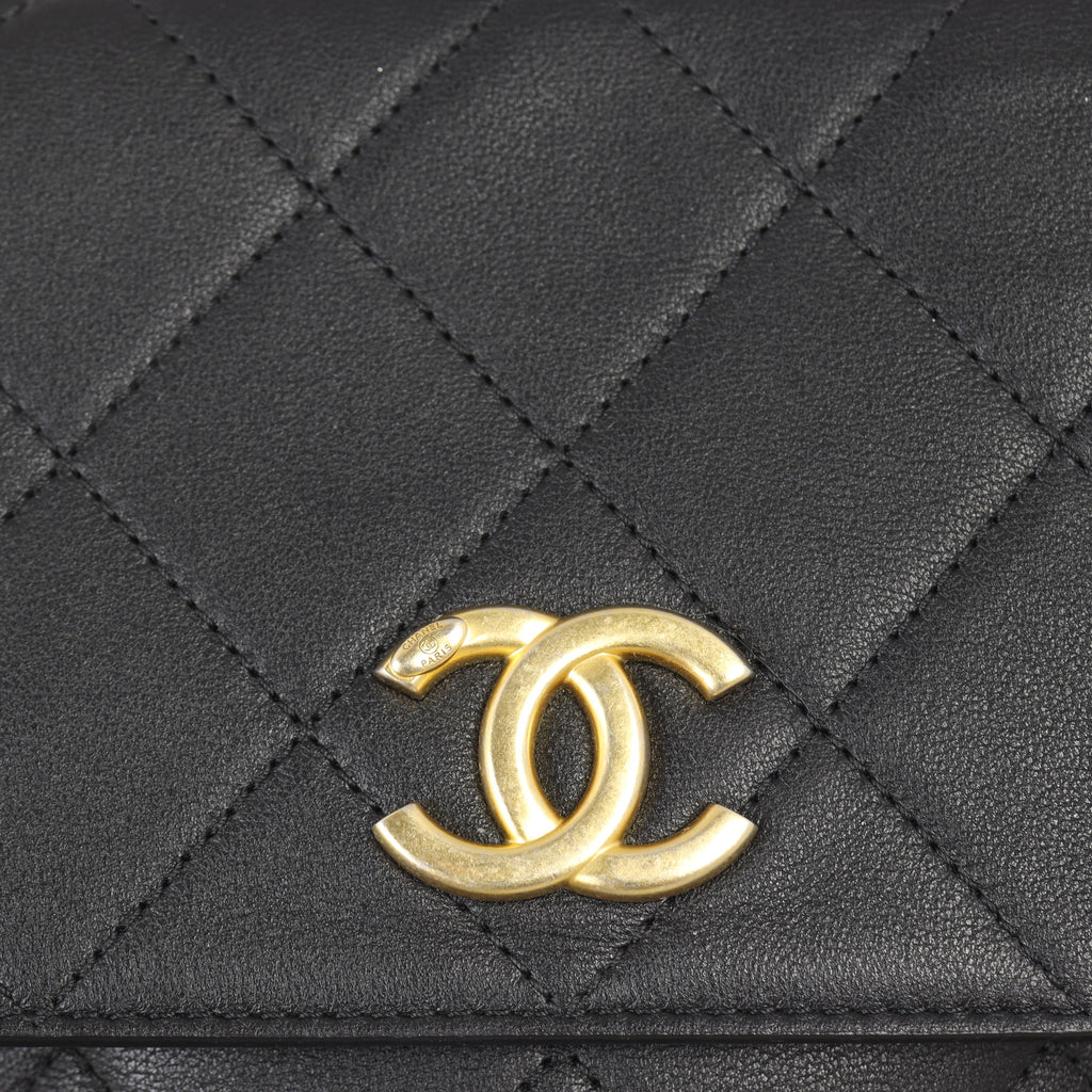 Chanel Quilted Hobo Bag Small