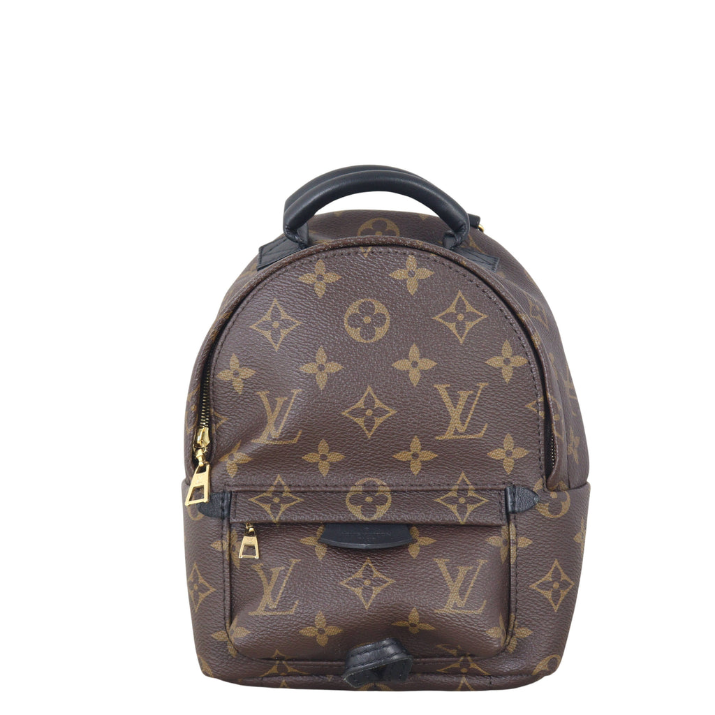 Louis Vuitton Palm Springs Mini Backpack Monogram