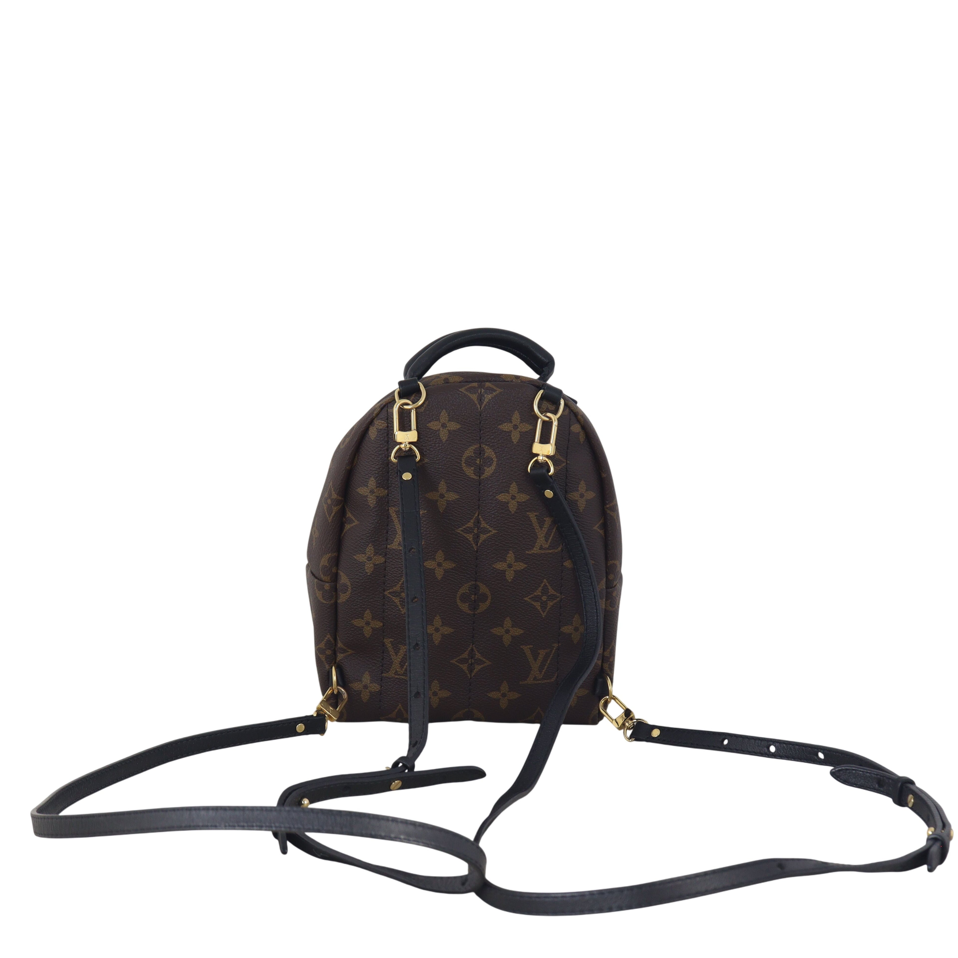 Louis Vuitton Palm Springs Mini Backpack Monogram