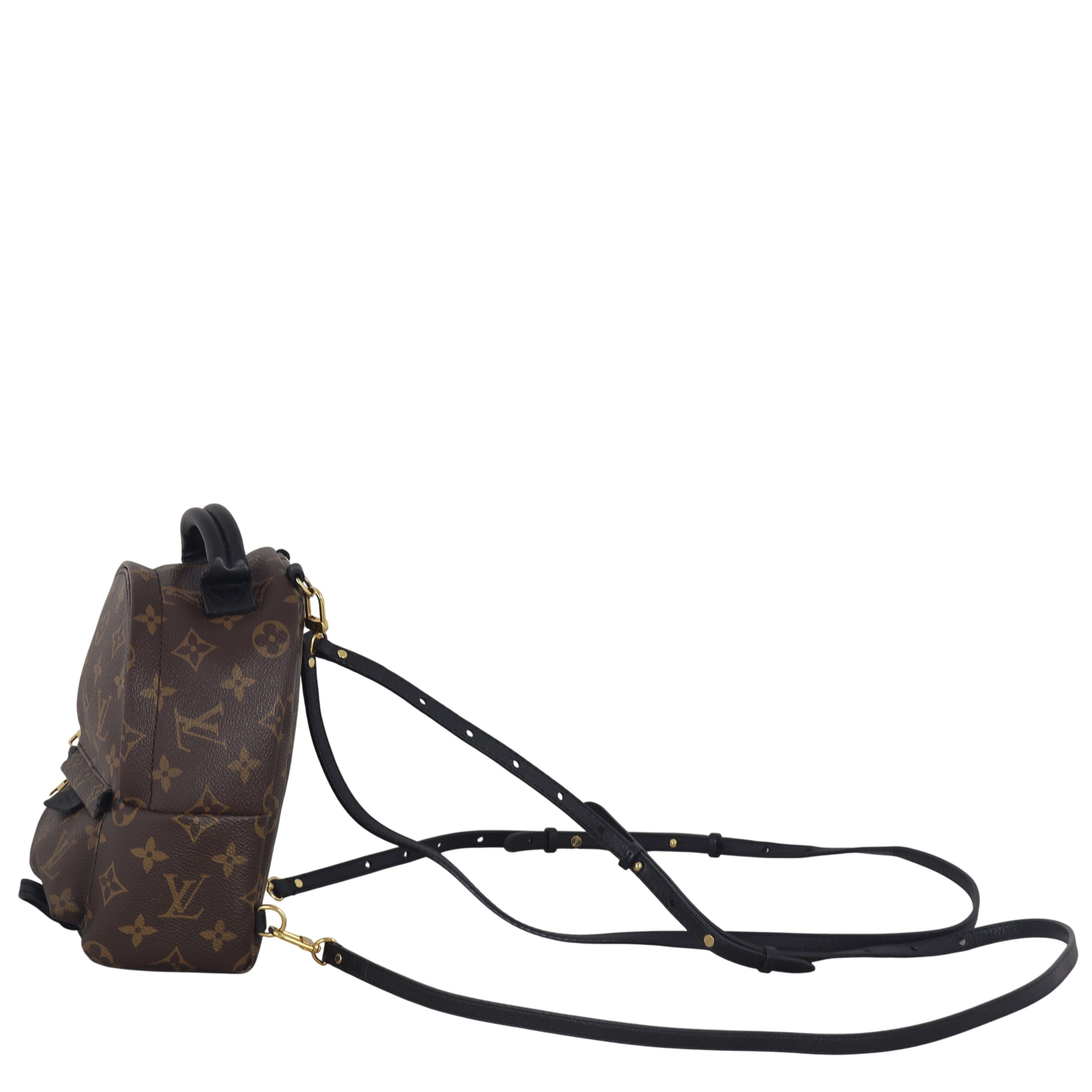 Louis Vuitton Palm Springs Mini Backpack Monogram