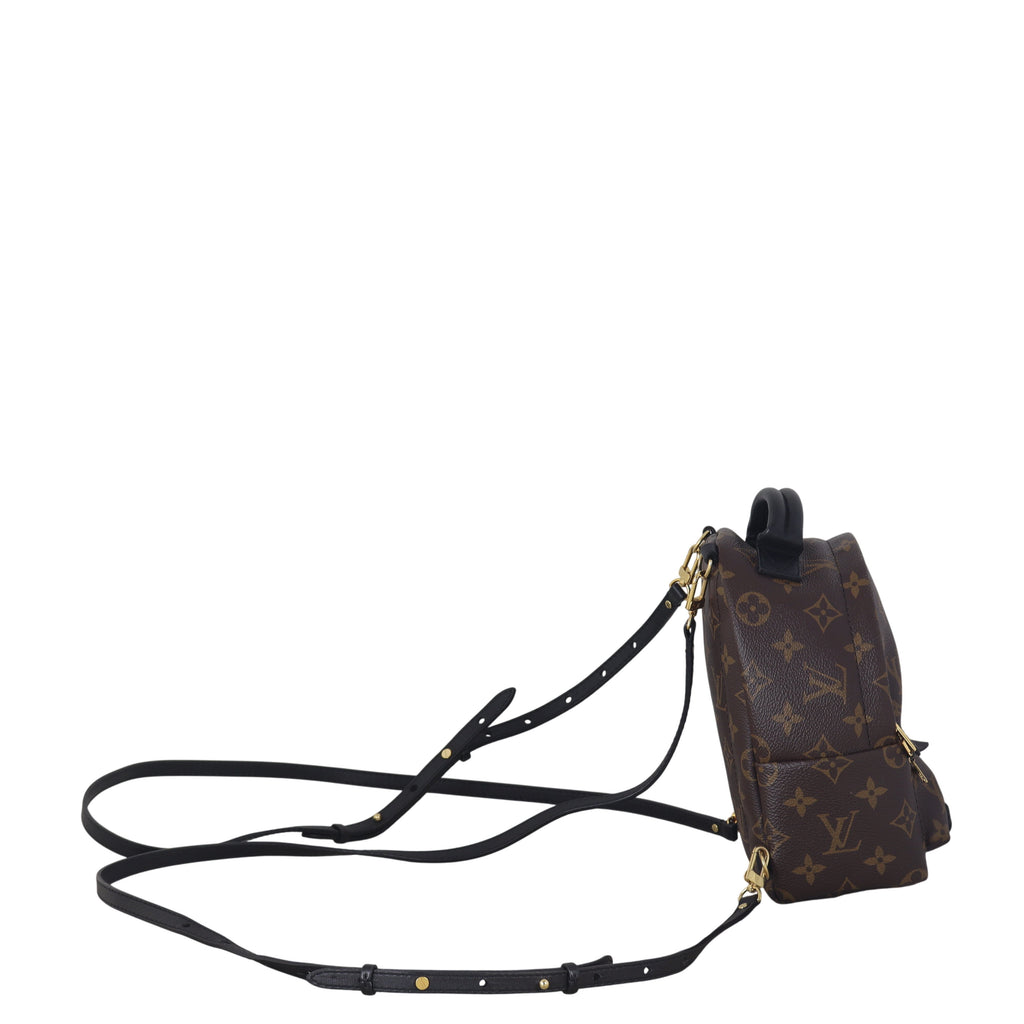 Louis Vuitton Palm Springs Mini Backpack Monogram