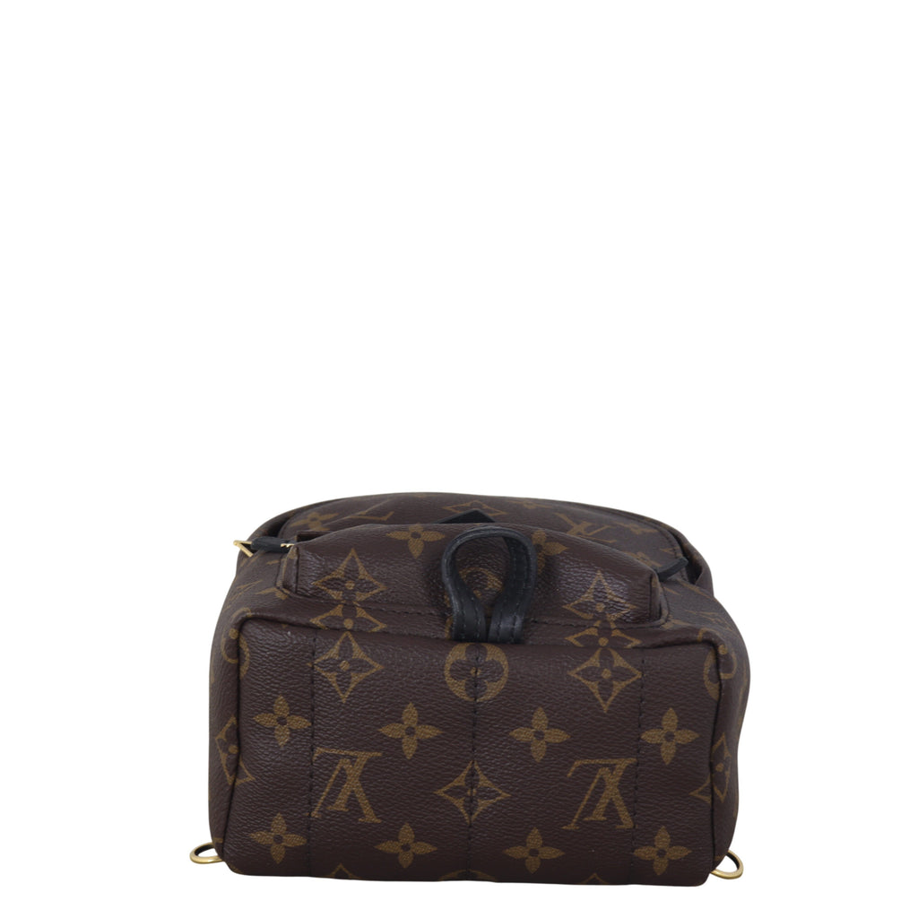 Louis Vuitton Palm Springs Mini Backpack Monogram