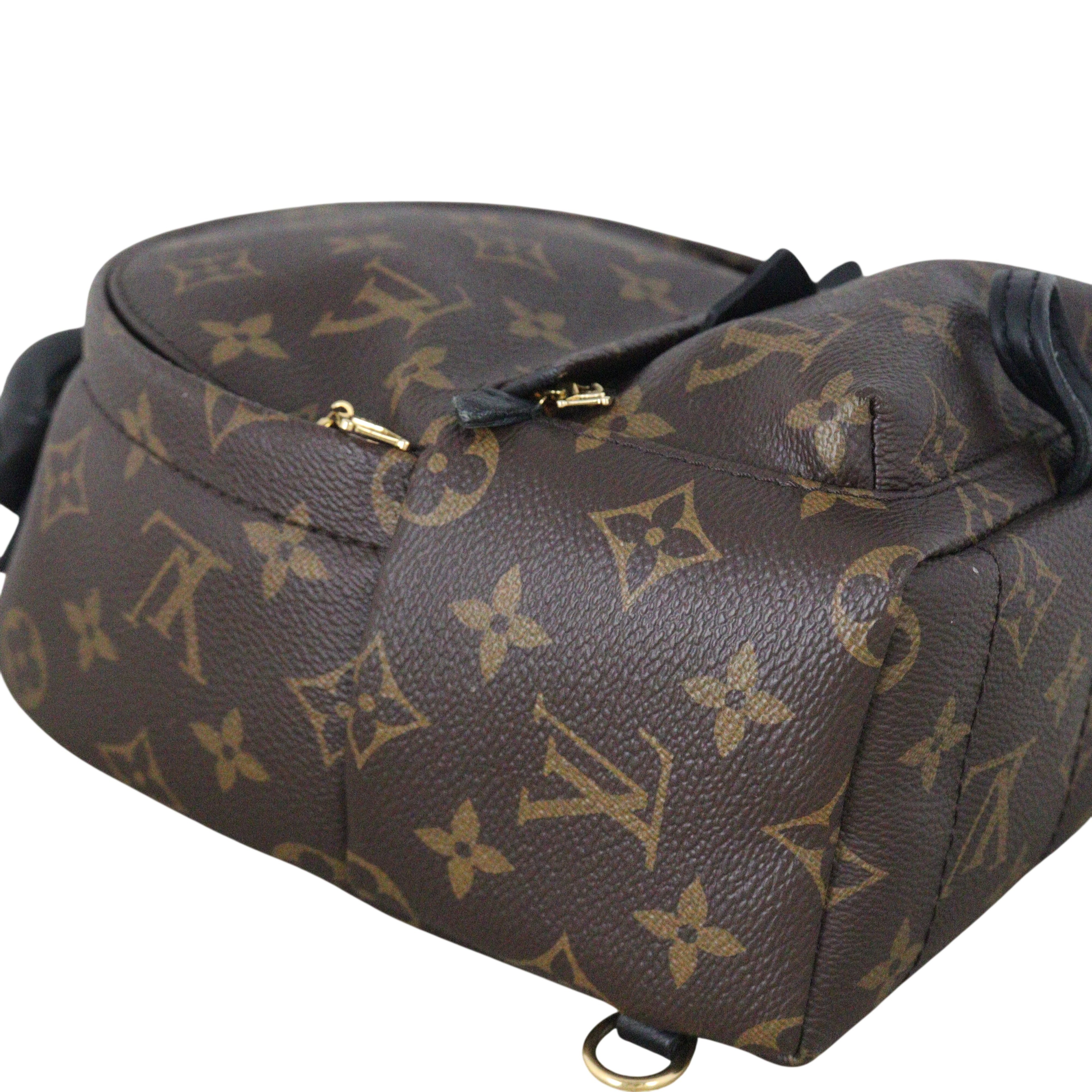 Louis Vuitton Palm Springs Mini Backpack Monogram