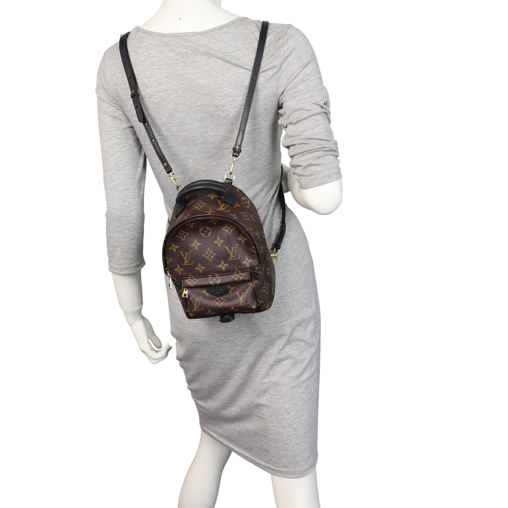 Louis Vuitton Palm Springs Mini Backpack Monogram