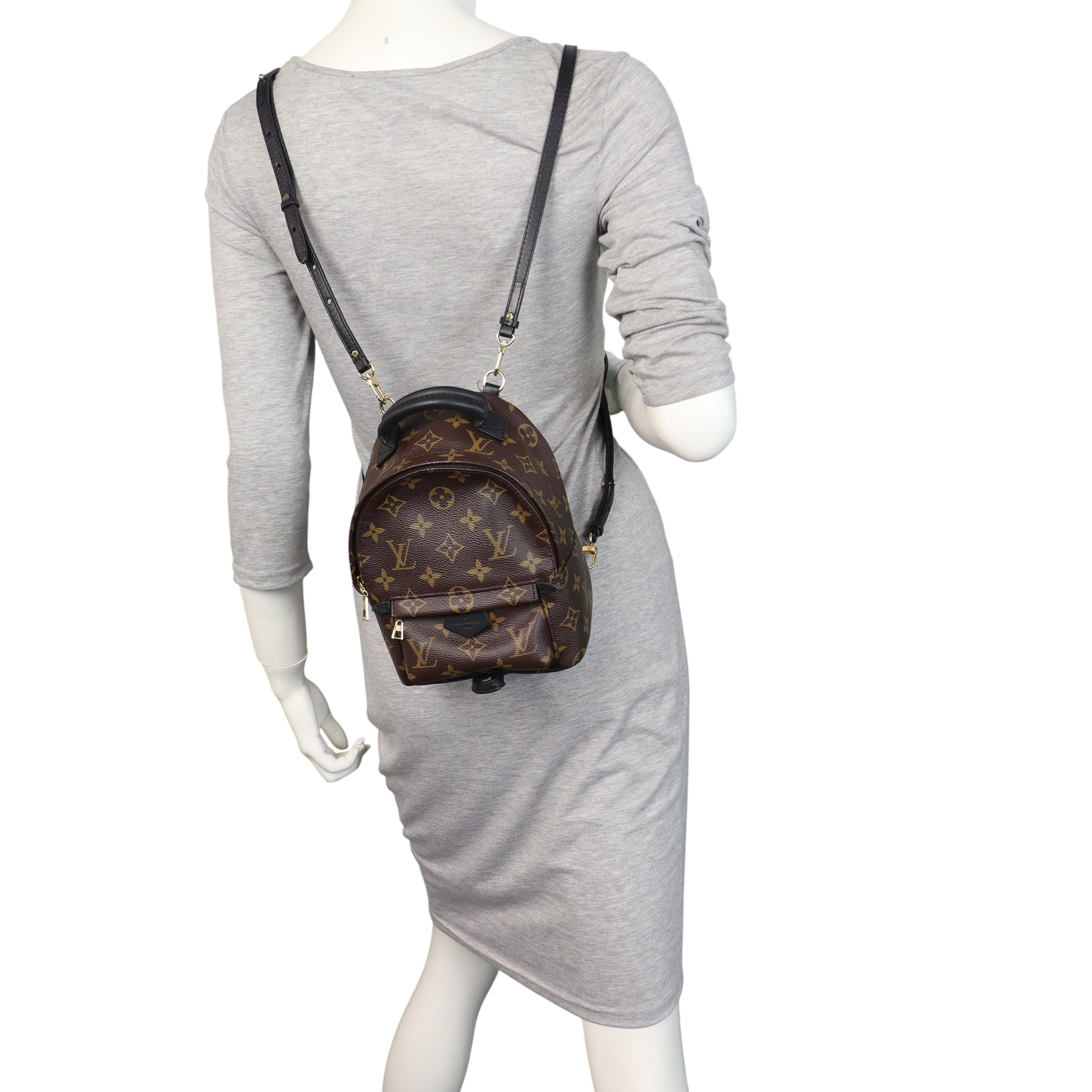 Louis Vuitton Palm Springs Mini Backpack Monogram