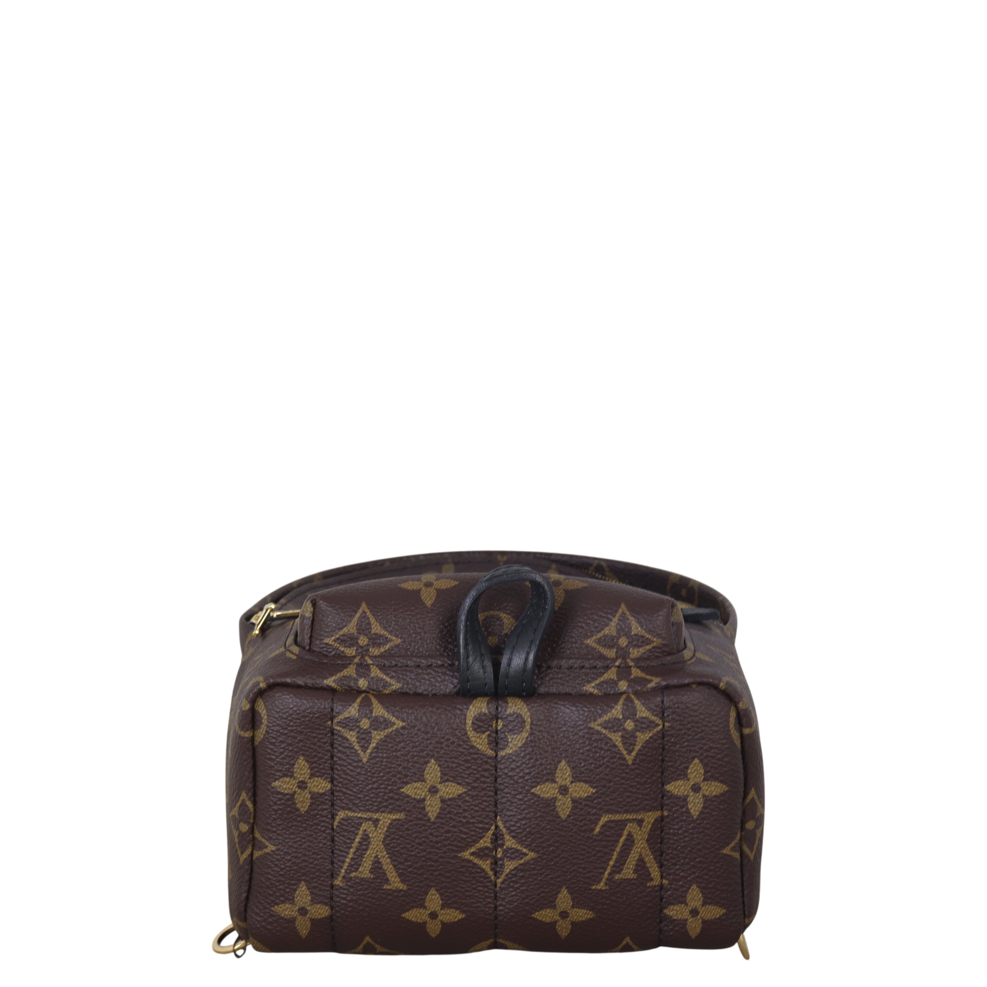Louis Vuitton Palm Springs Mini Backpack Monogram