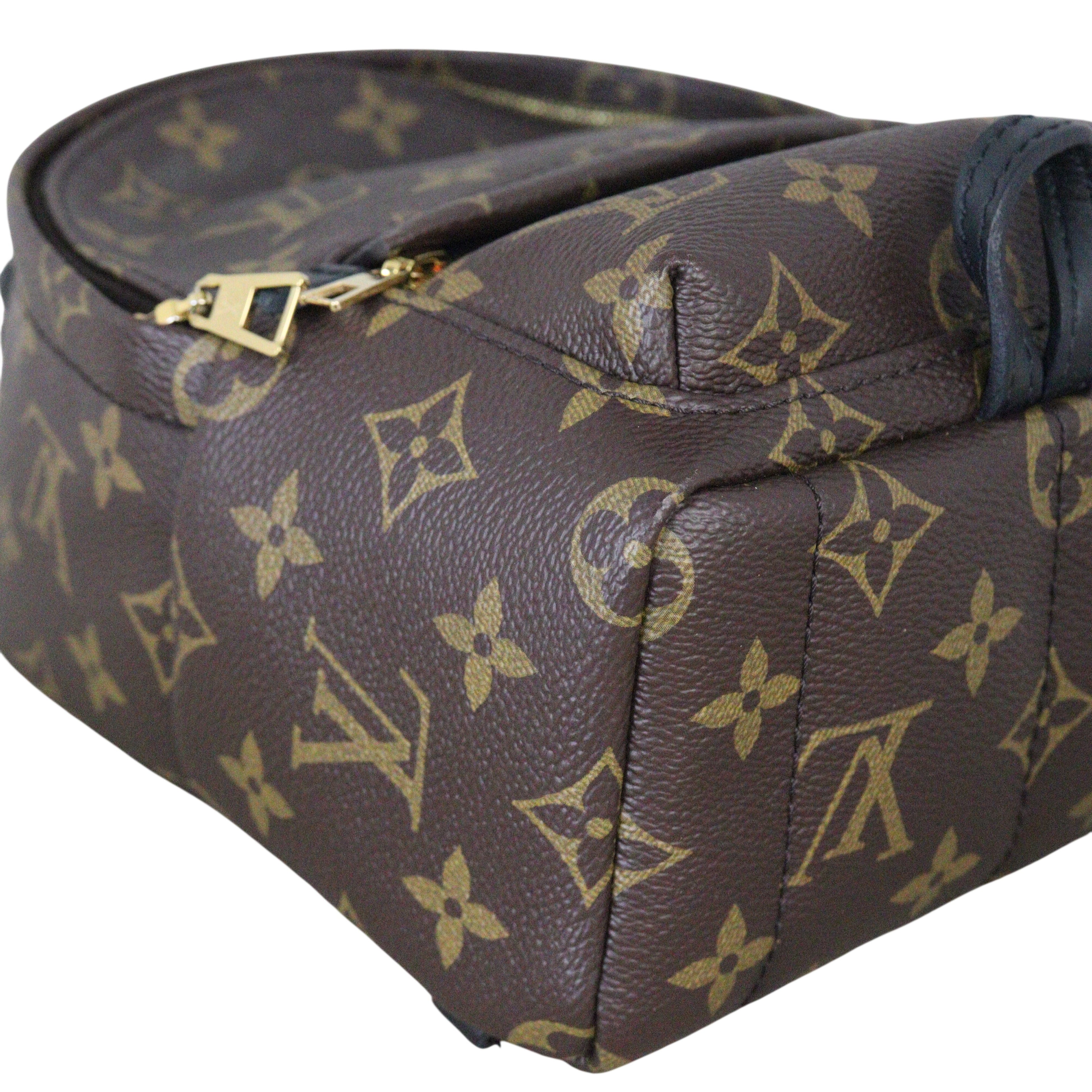 Louis Vuitton Palm Springs Mini Backpack Monogram