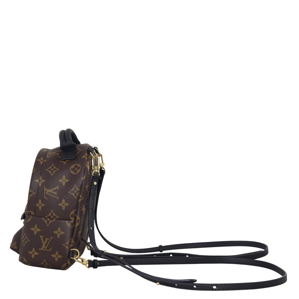 Louis Vuitton Palm Springs Mini Backpack Monogram