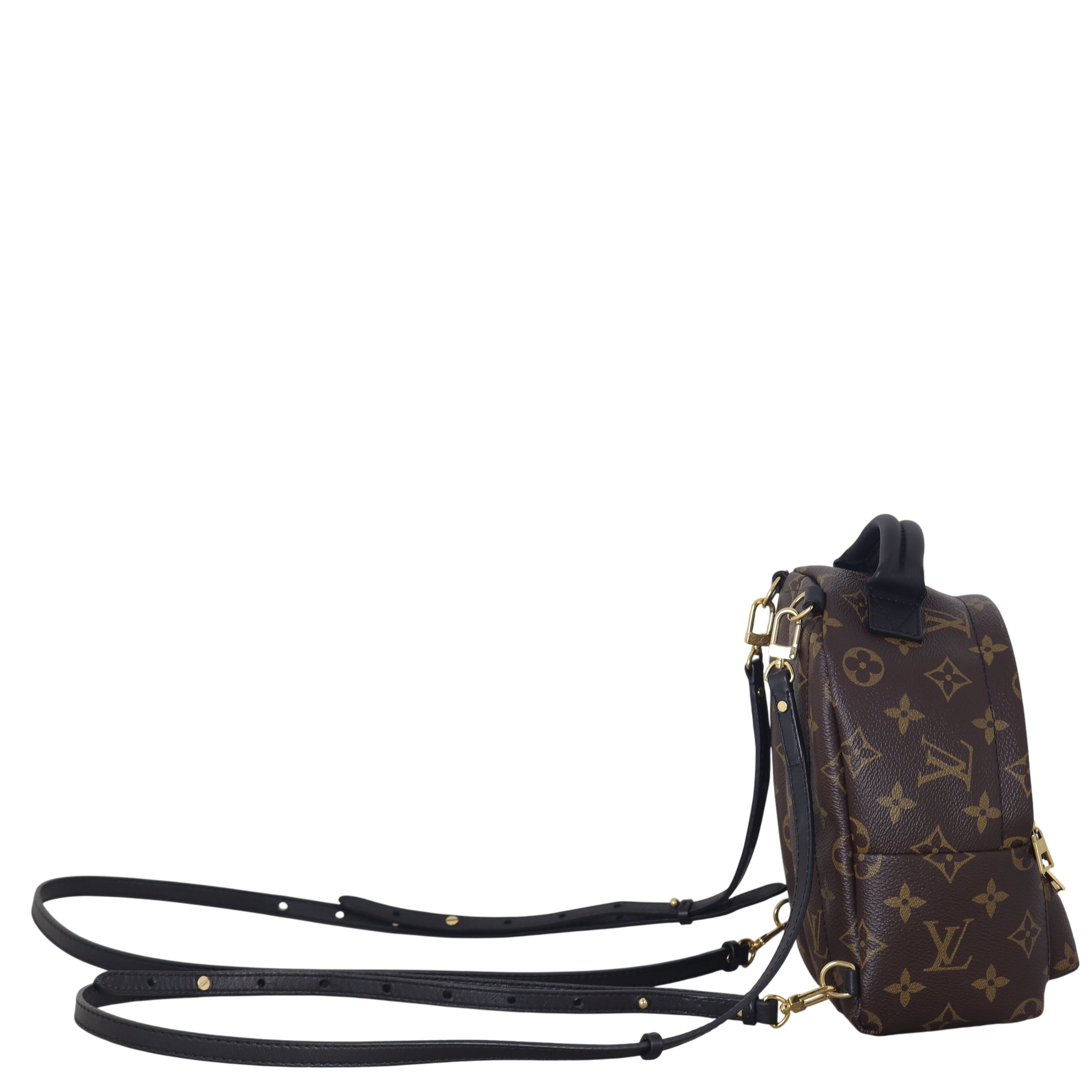 Louis Vuitton Palm Springs Mini Backpack Monogram