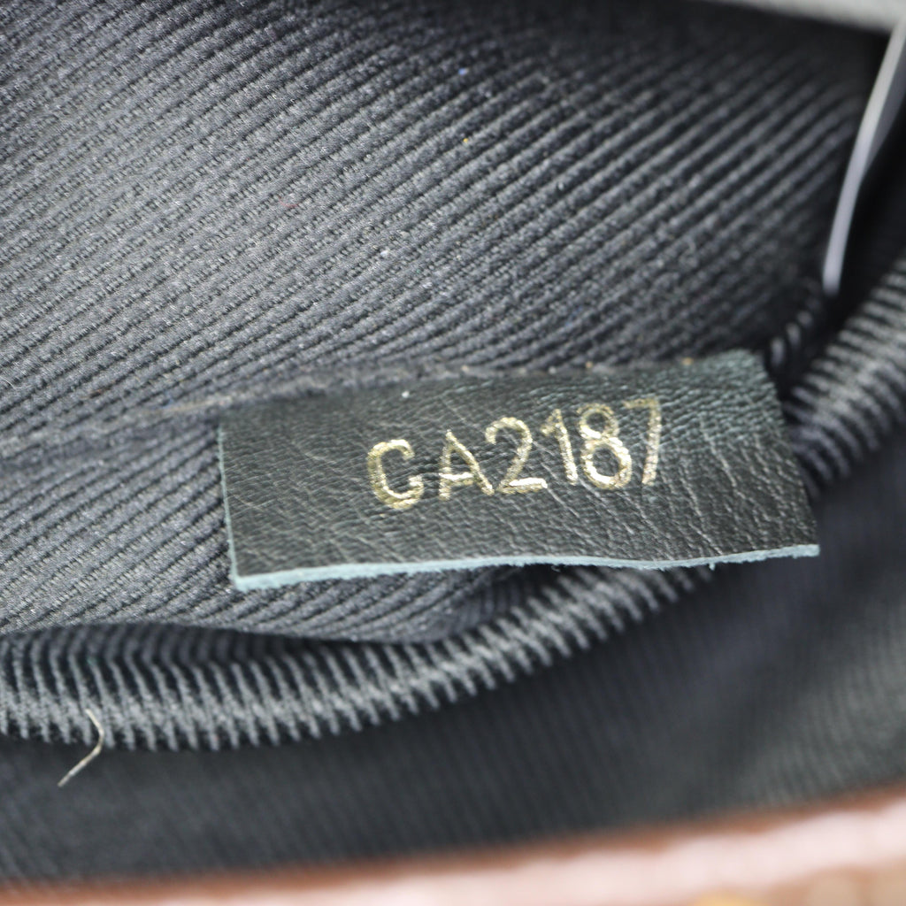 Louis Vuitton Palm Springs Mini Backpack Monogram