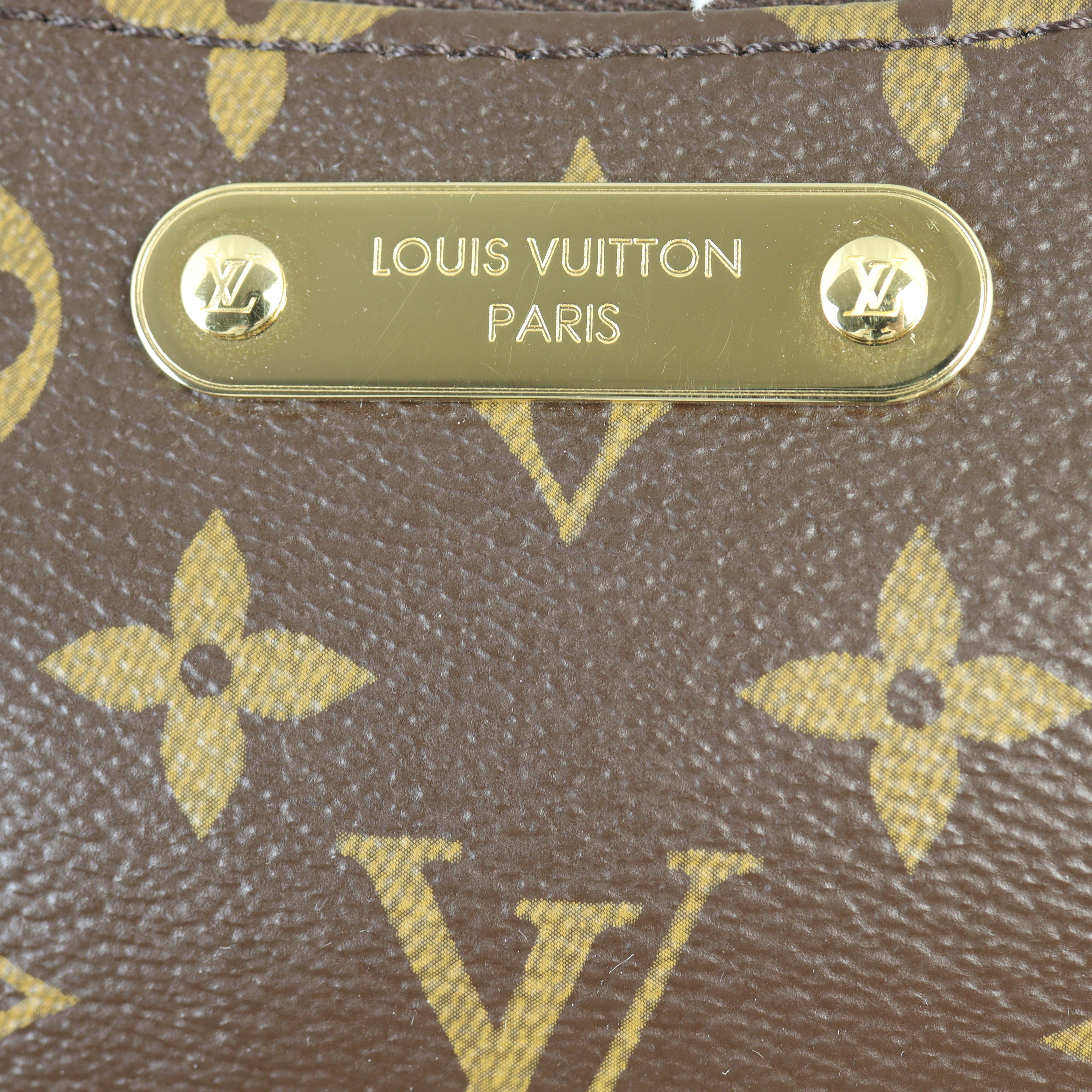 Louis Vuitton Liv Pochette Monogram