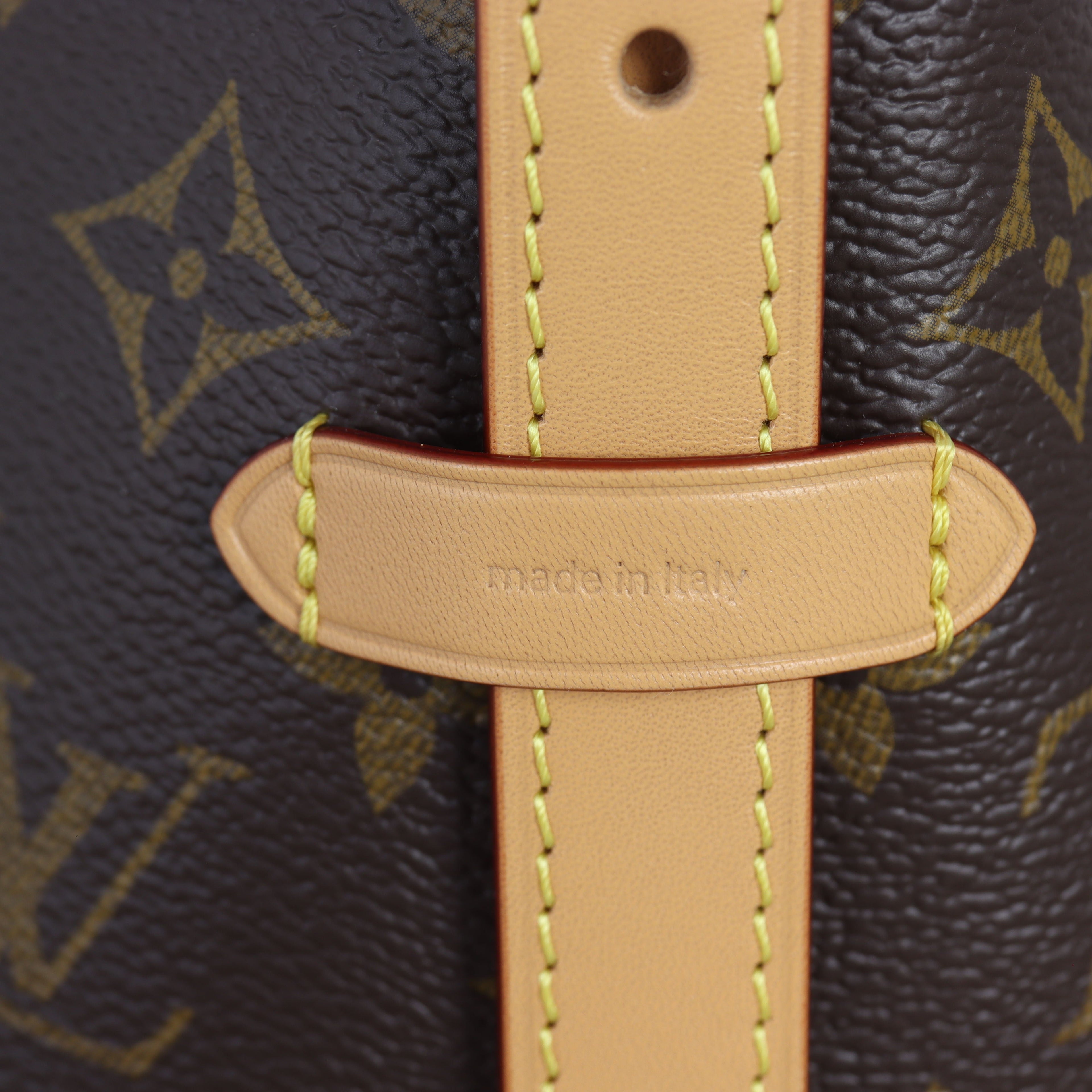 Louis Vuitton CarryAll PM Monogram