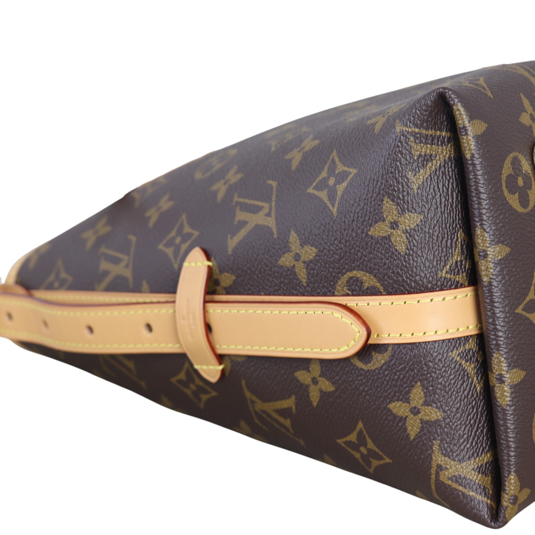 Louis Vuitton CarryAll PM Monogram