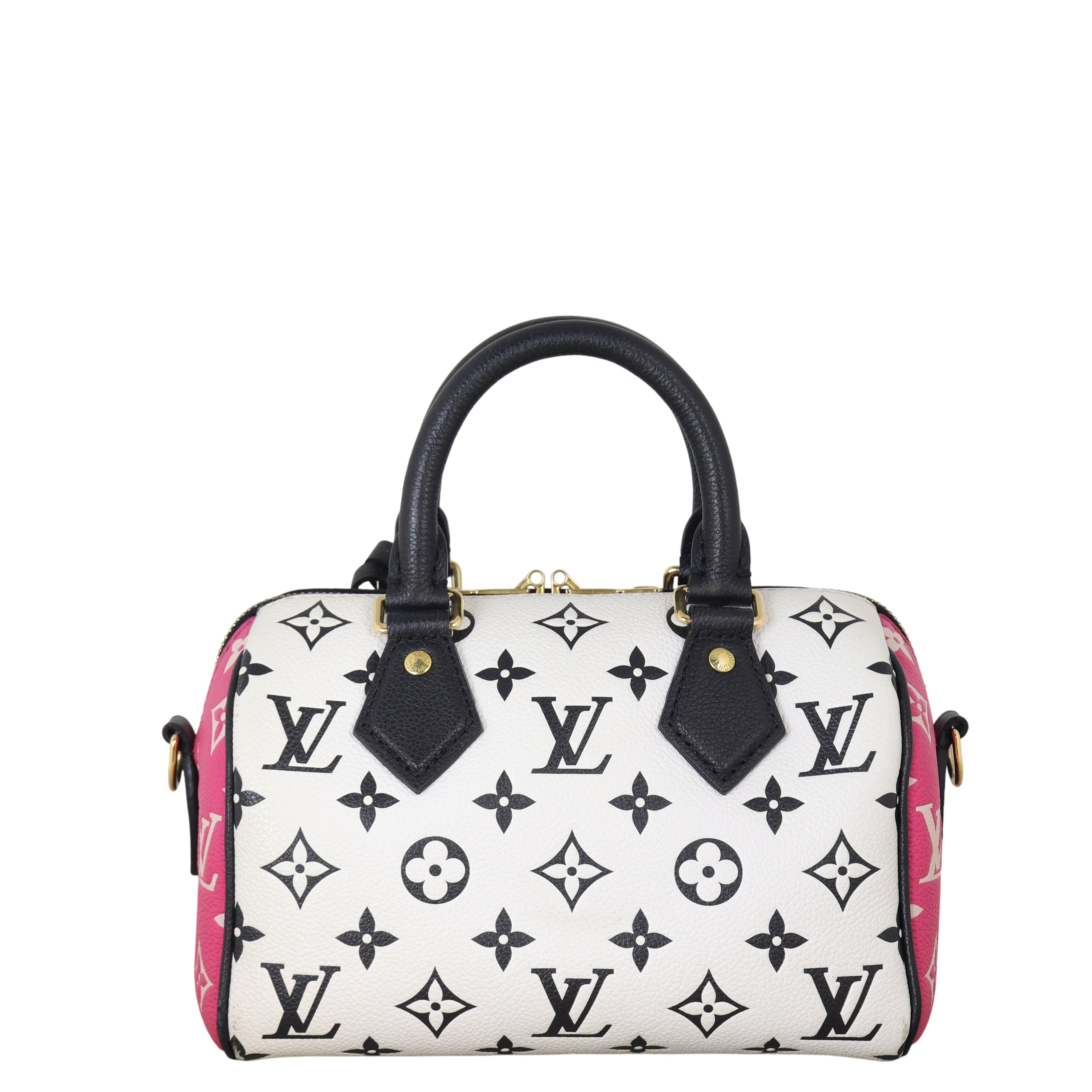 Louis Vuitton Speedy 20 Bandouliere Monogram Spring in the City