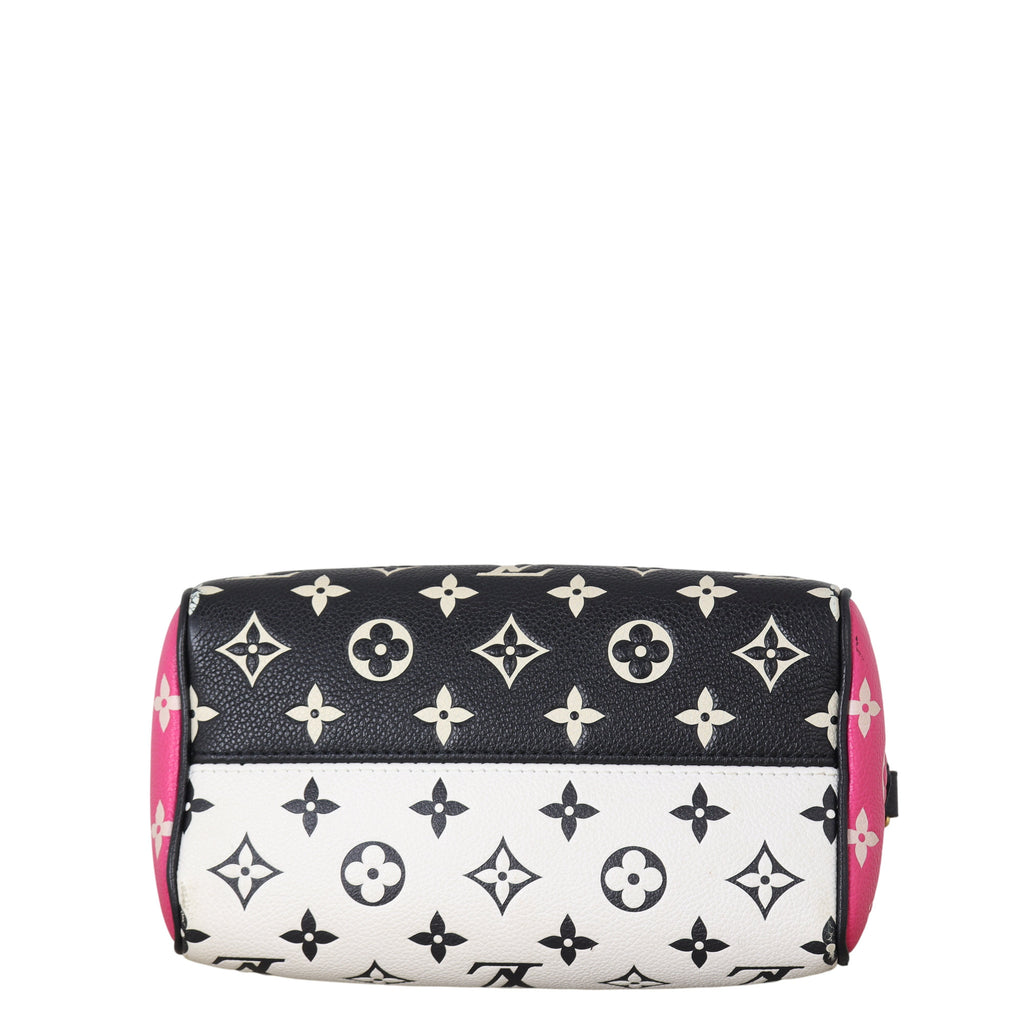 Louis Vuitton Speedy 20 Bandouliere Monogram Spring in the City