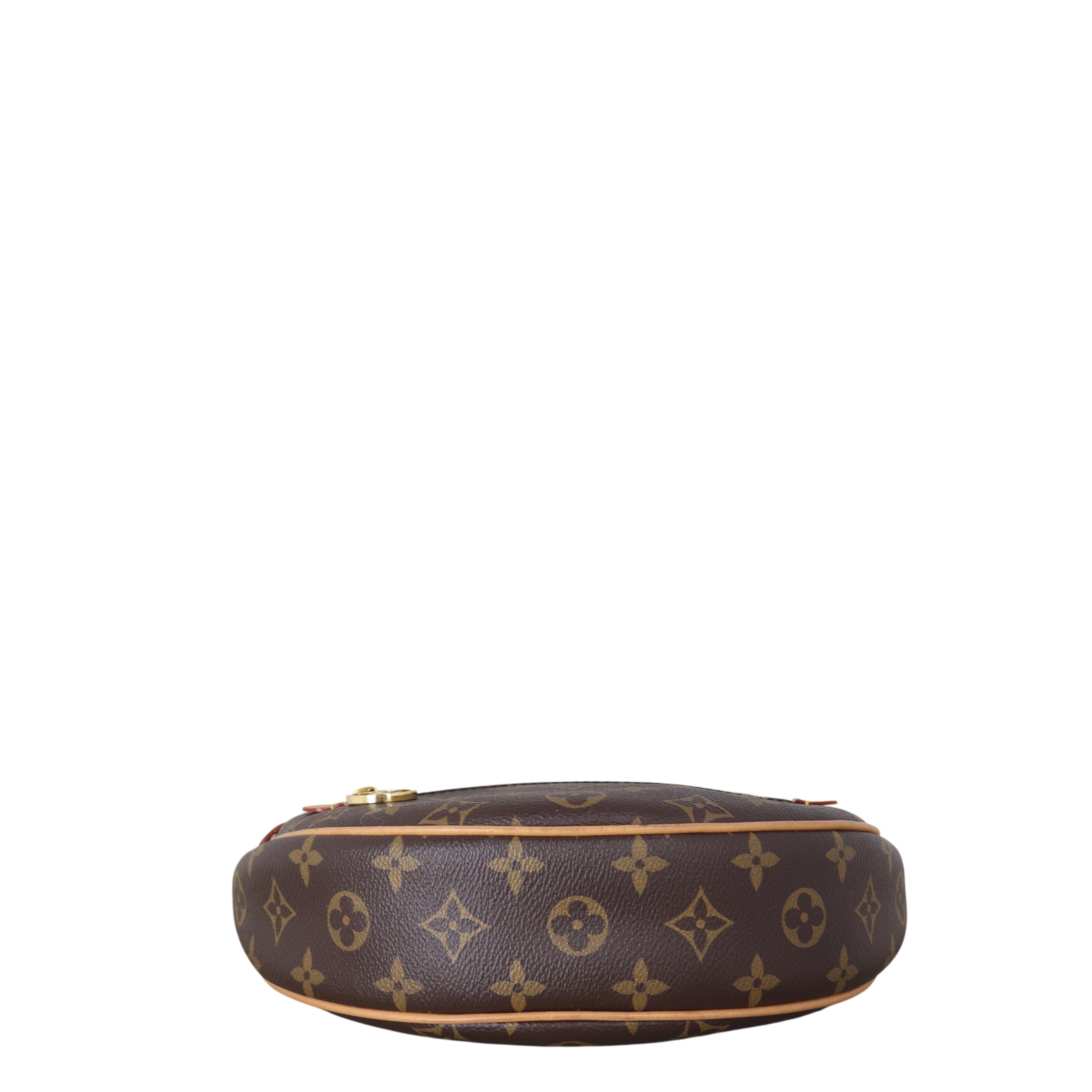 Louis Vuitton Loop PM Monogram
