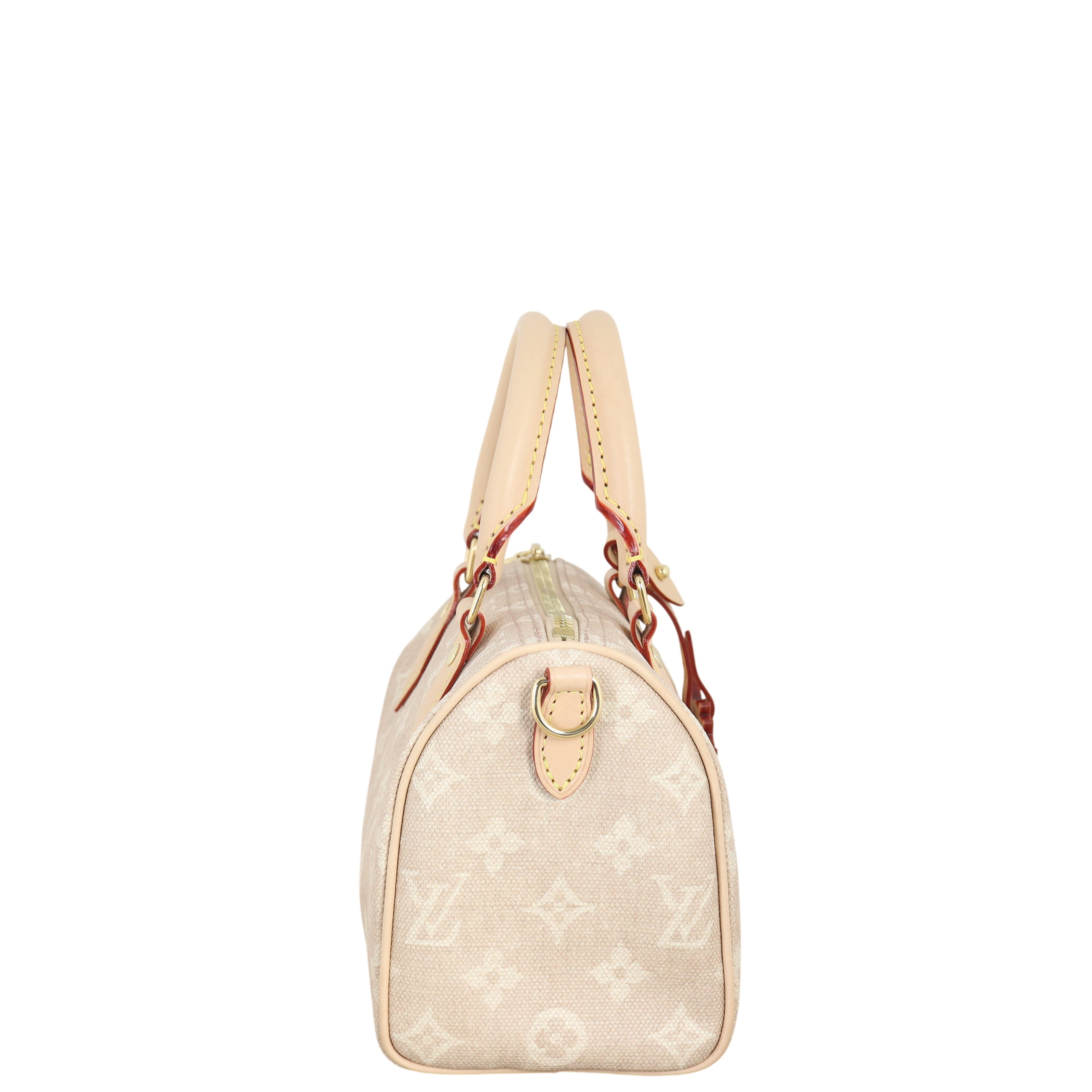 Louis Vuitton x Grace Coddington Speedy 20 Bandouliere Meowgram