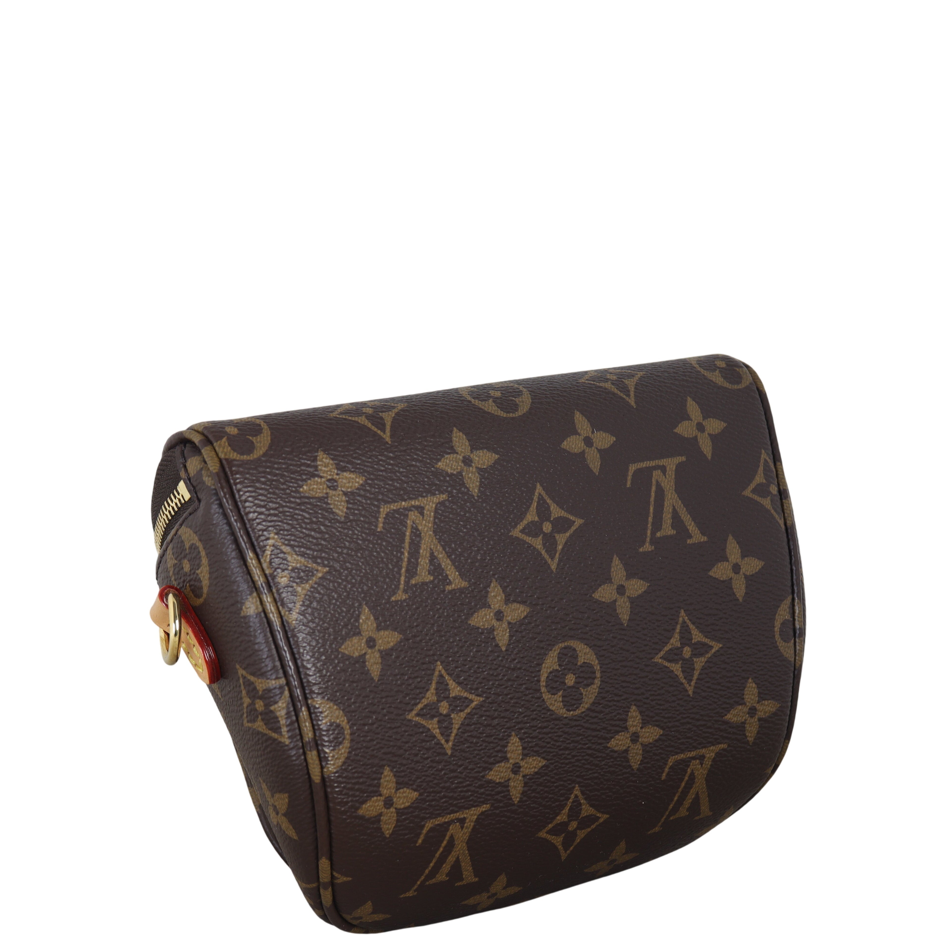 Louis Vuitton Mini Bumbag Monogram