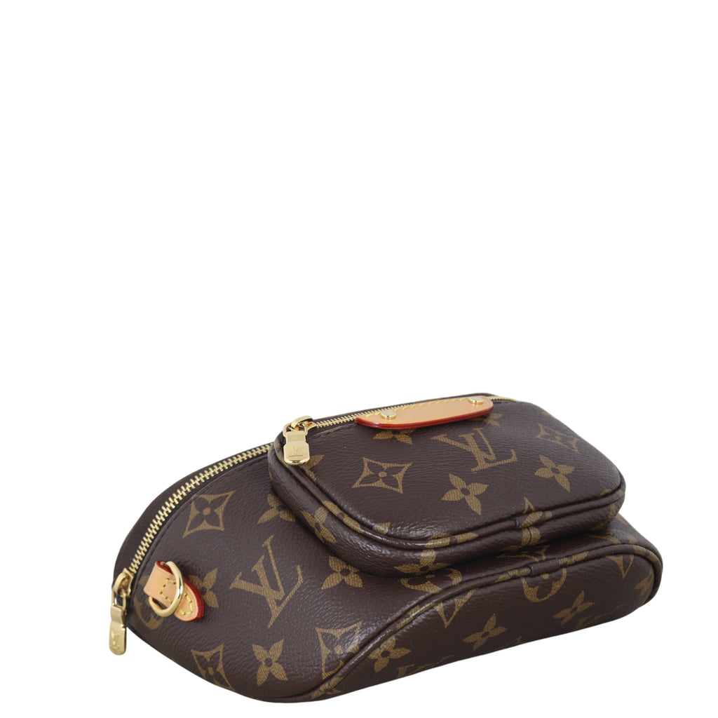 Louis Vuitton Mini Bumbag Monogram