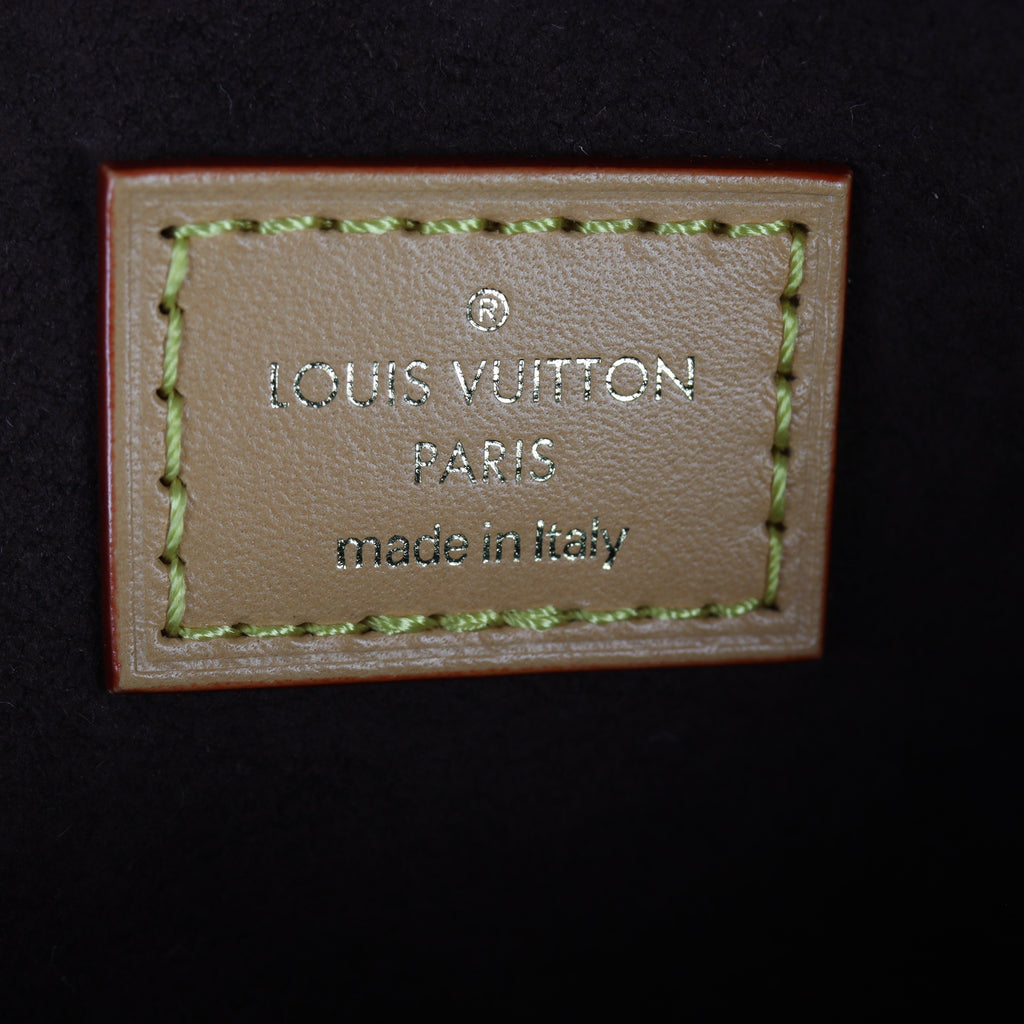 Louis Vuitton Mini Bumbag Monogram