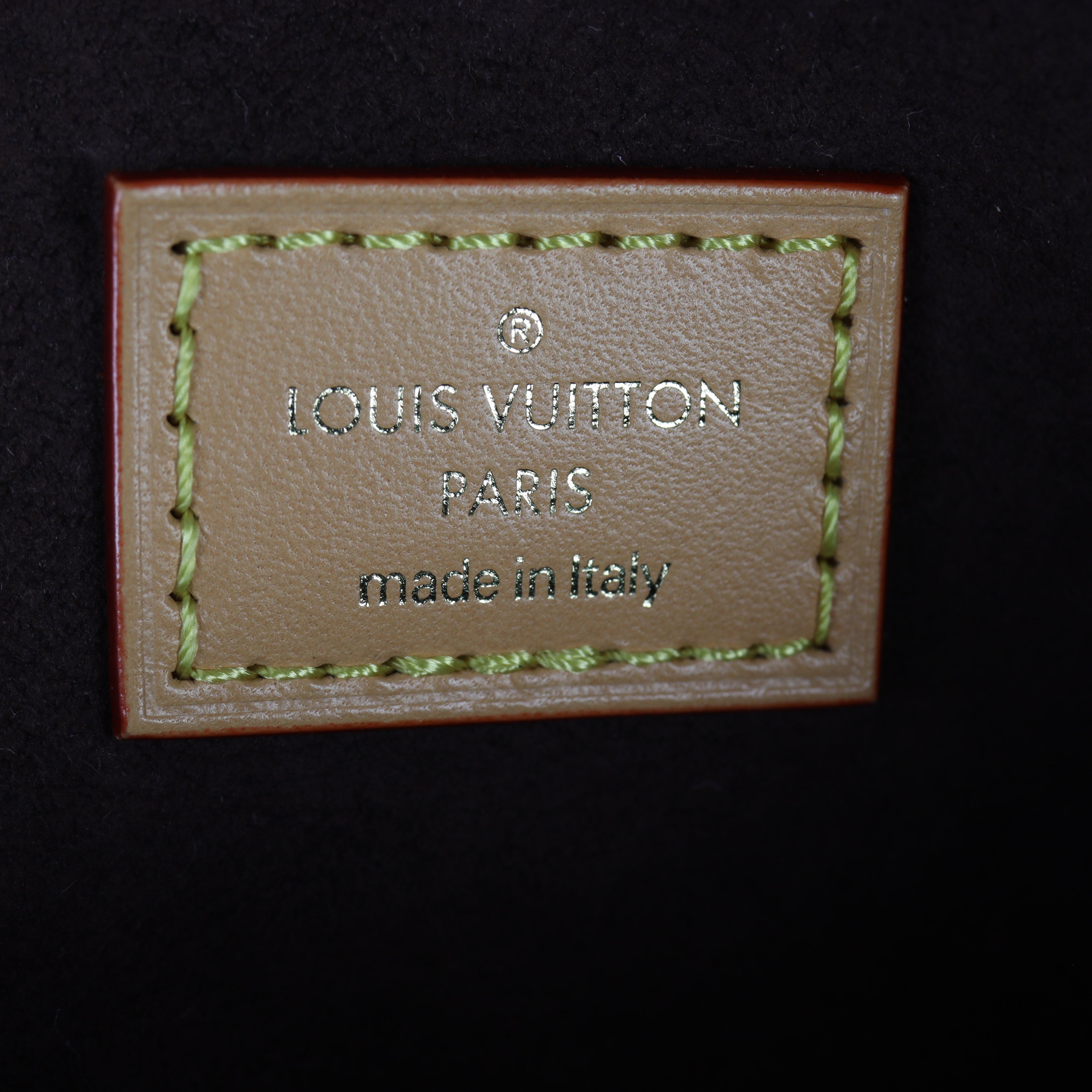 Louis Vuitton Mini Bumbag Monogram