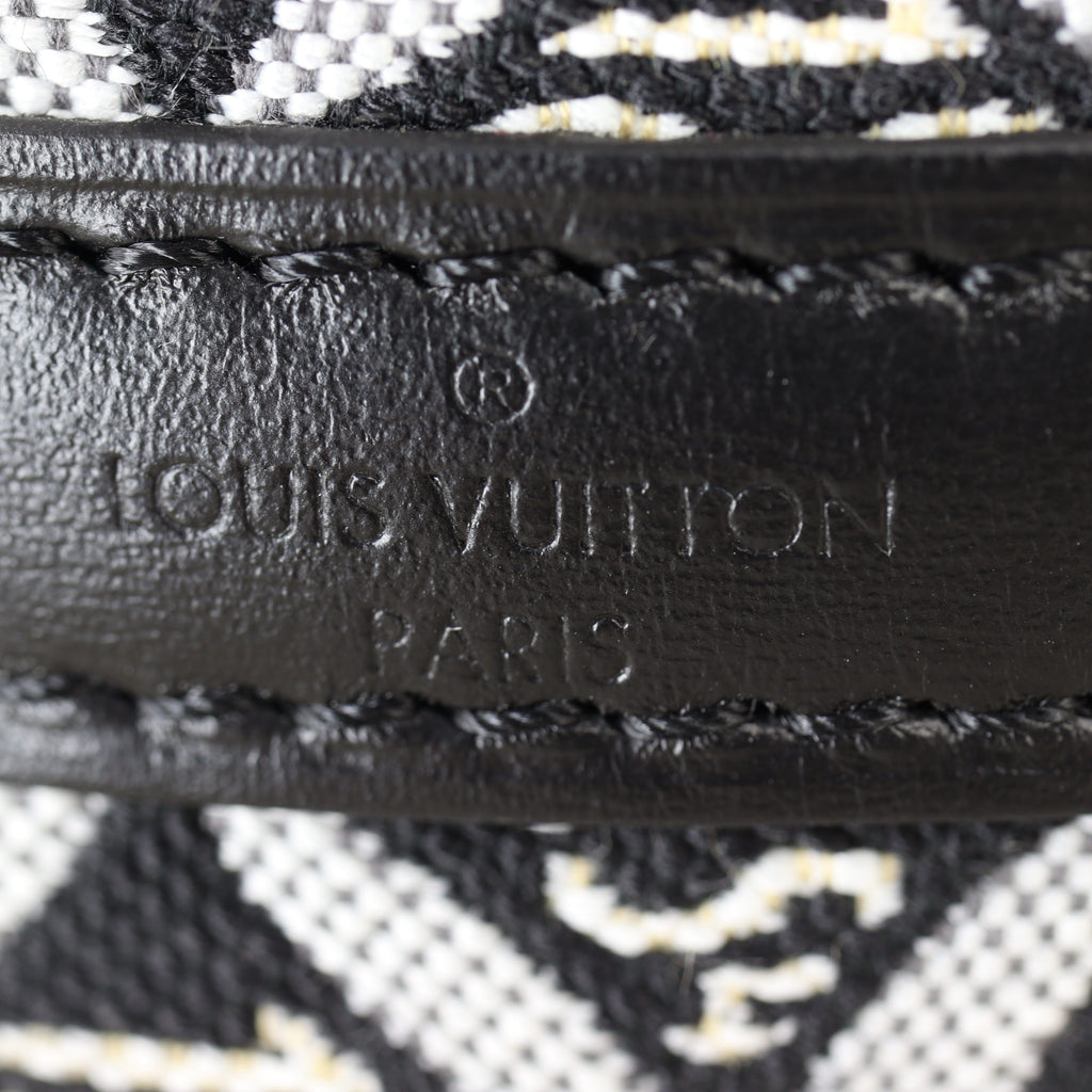Louis Vuitton Since 1854 Nano Noe Monogram Jacquard