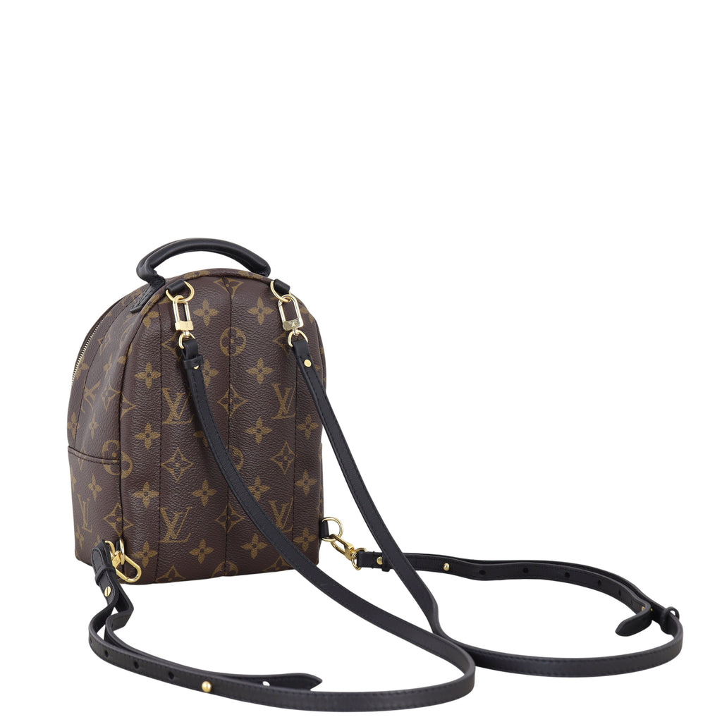 Louis Vuitton Palm Springs Mini Backpack Monogram