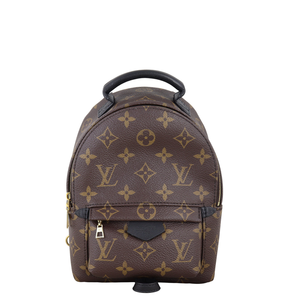 Louis Vuitton Palm Springs Mini Backpack Monogram