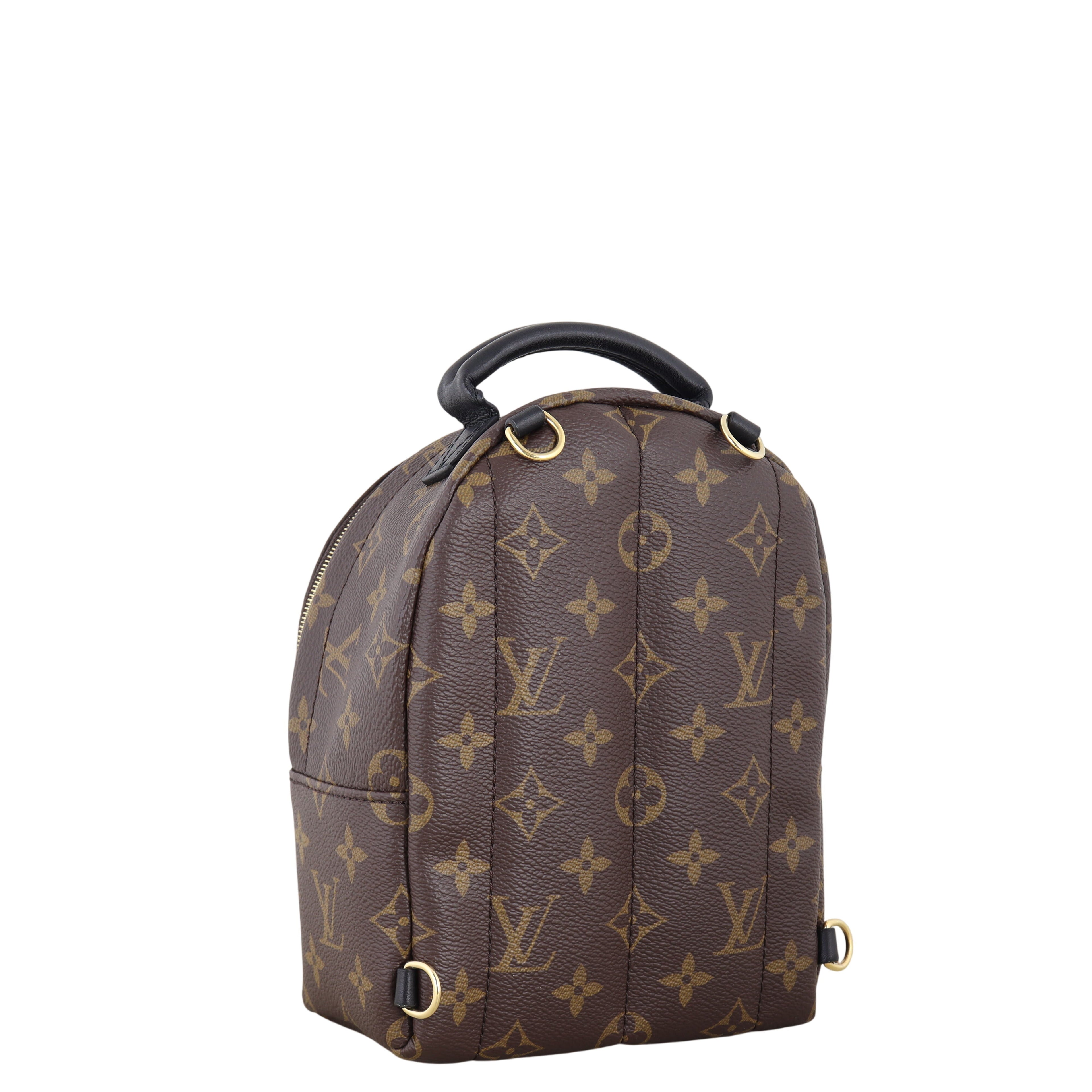 Louis Vuitton Palm Springs Mini Backpack Monogram