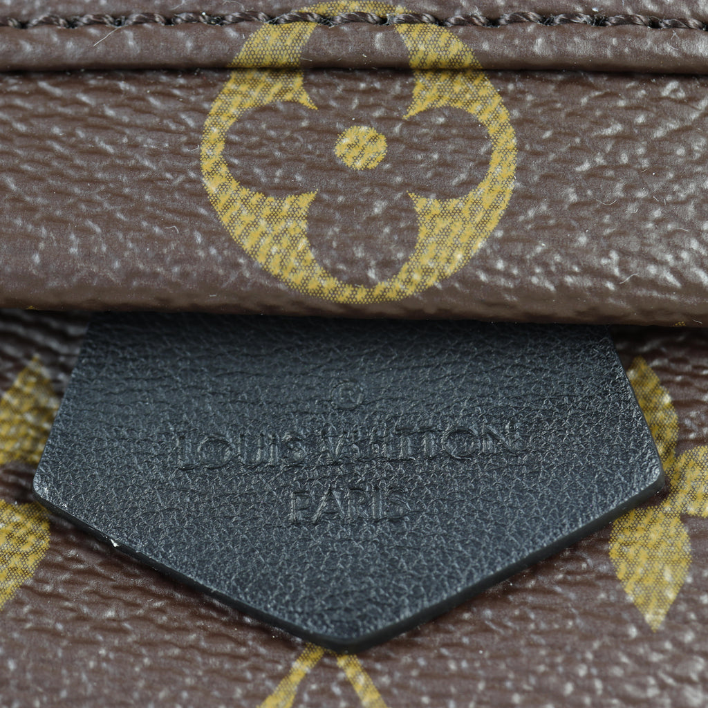 Louis Vuitton Palm Springs Mini Backpack Monogram