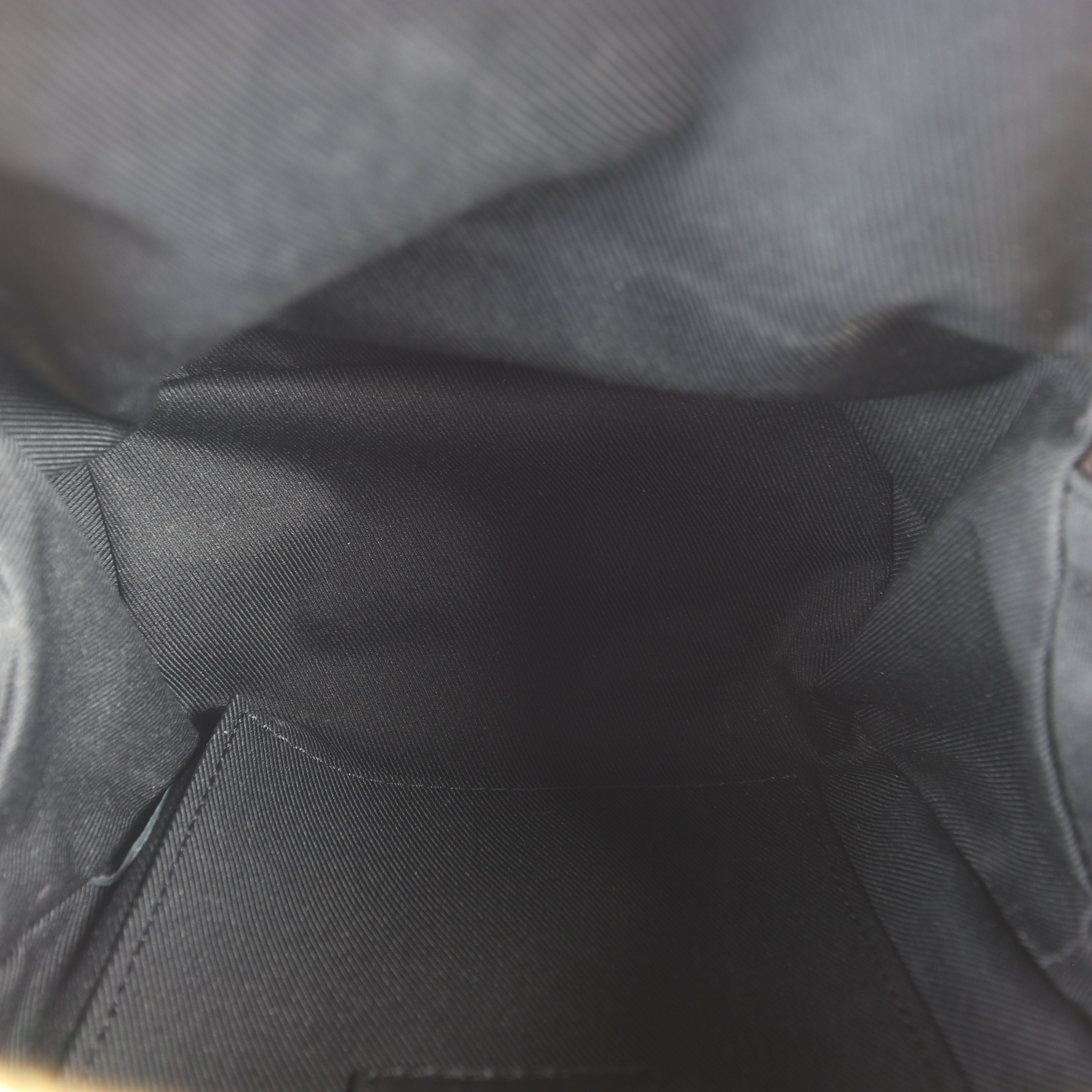 Louis Vuitton Palm Springs Mini Backpack Monogram