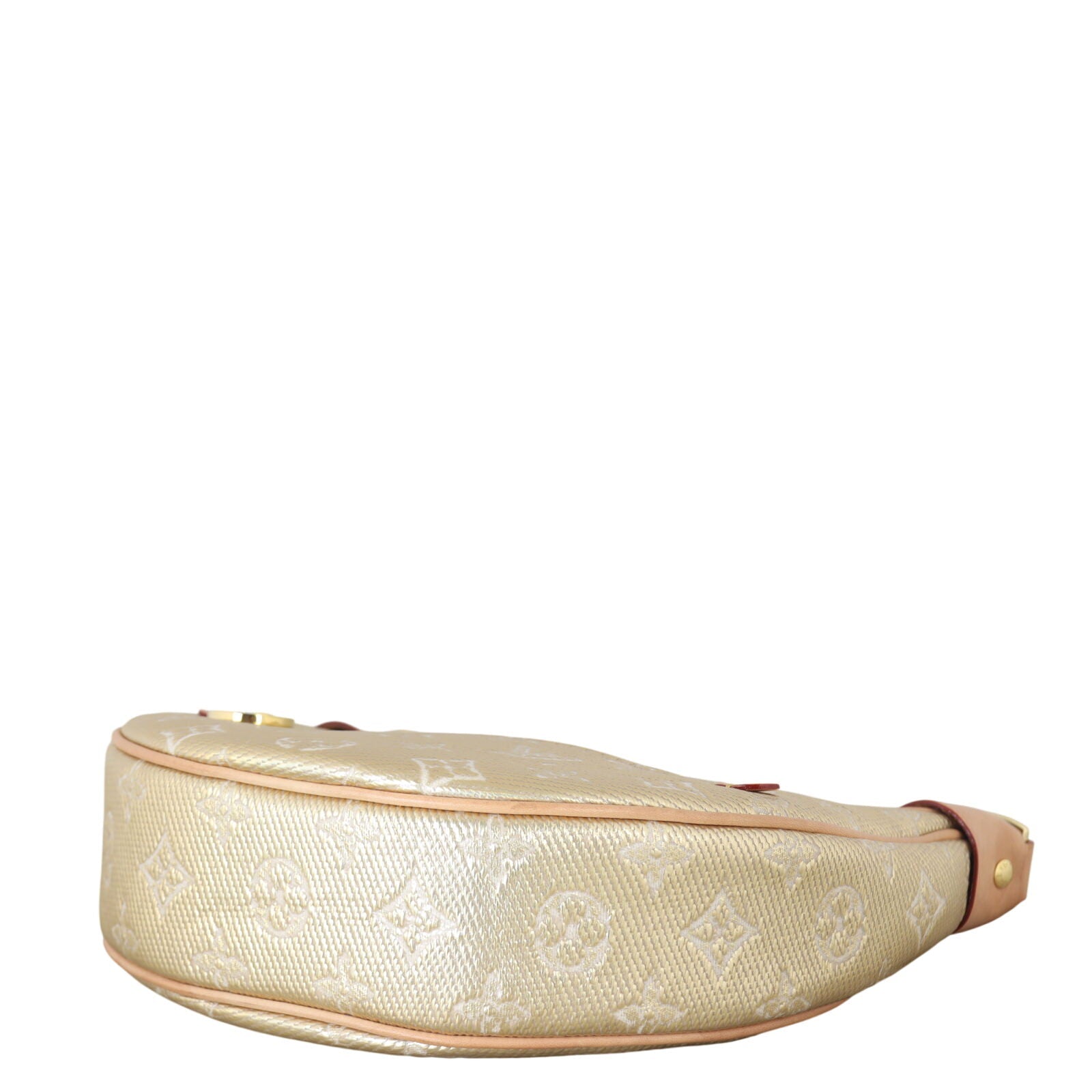 Louis Vuitton Loop PM Monogram