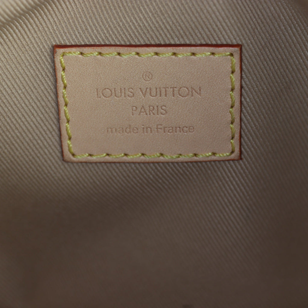 Louis Vuitton Loop PM Monogram