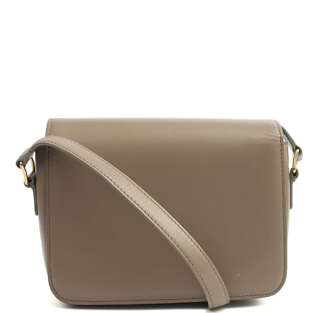 Celine Cross Body Triomphe - Mini in Grey, Box Calfskin