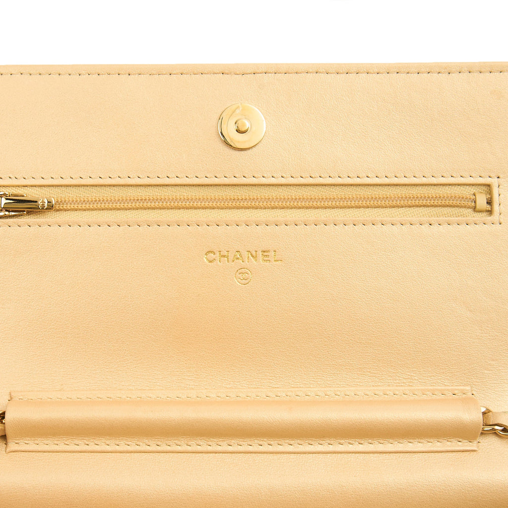 Chanel Cross Body Wallet on Chain in Metallic, Fabric