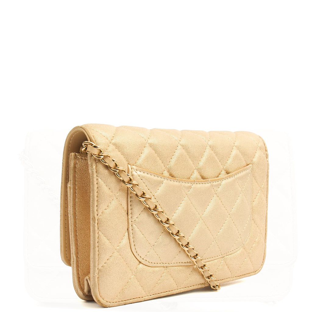 Chanel Cross Body Wallet on Chain in Metallic, Fabric