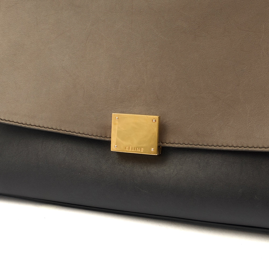 Celine Top Handle Trapeze - Medium in Multi, Leather