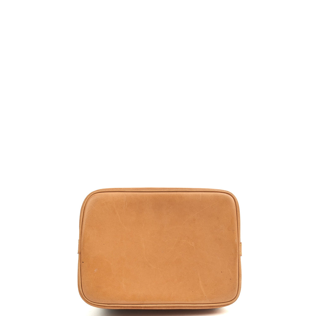 Louis Vuitton Top Handle Nano Noe in Monogram, Canvas