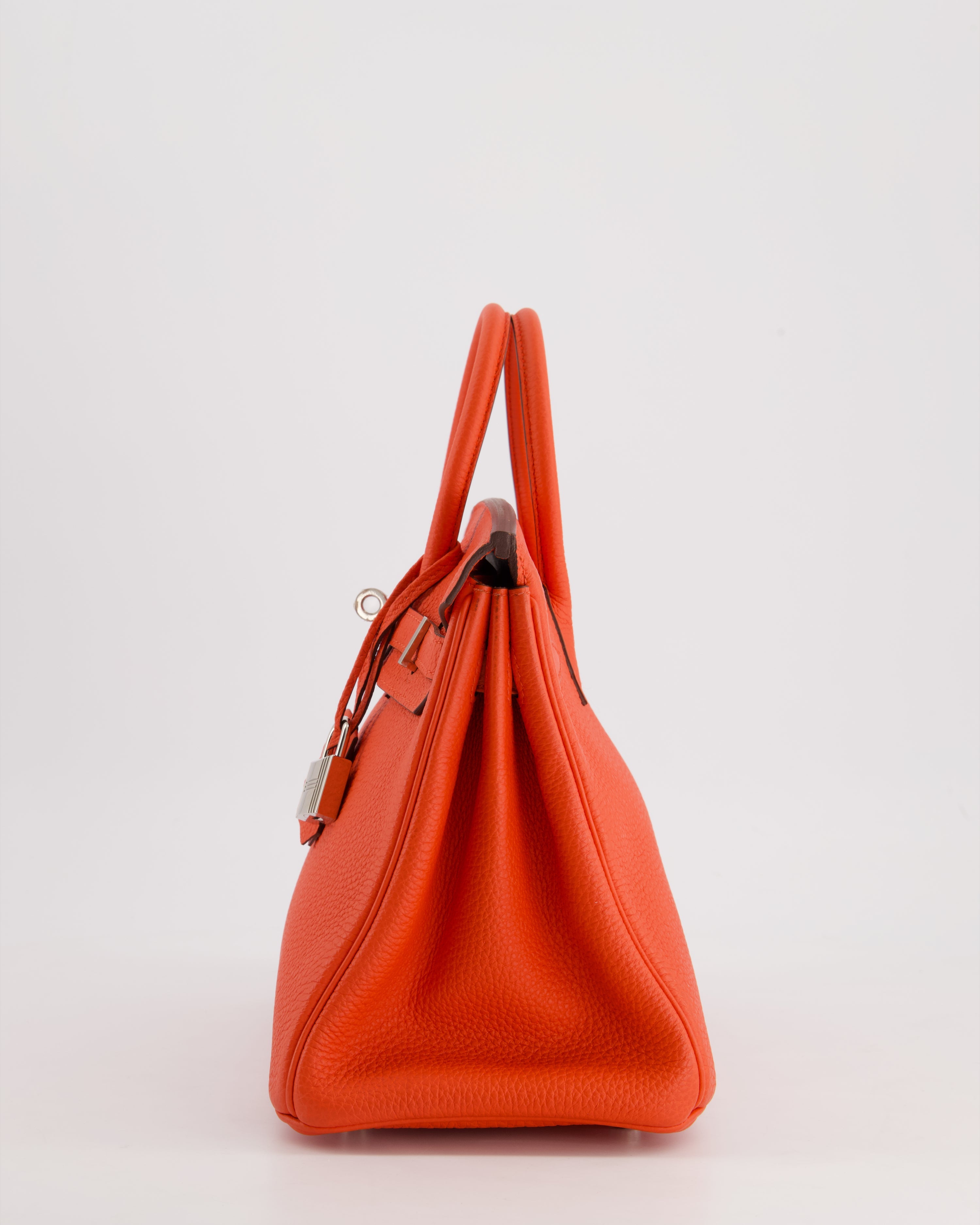 Hermès Birkin 25 Retourne Bag in Capucine Togo Leather and Palladium Hardware