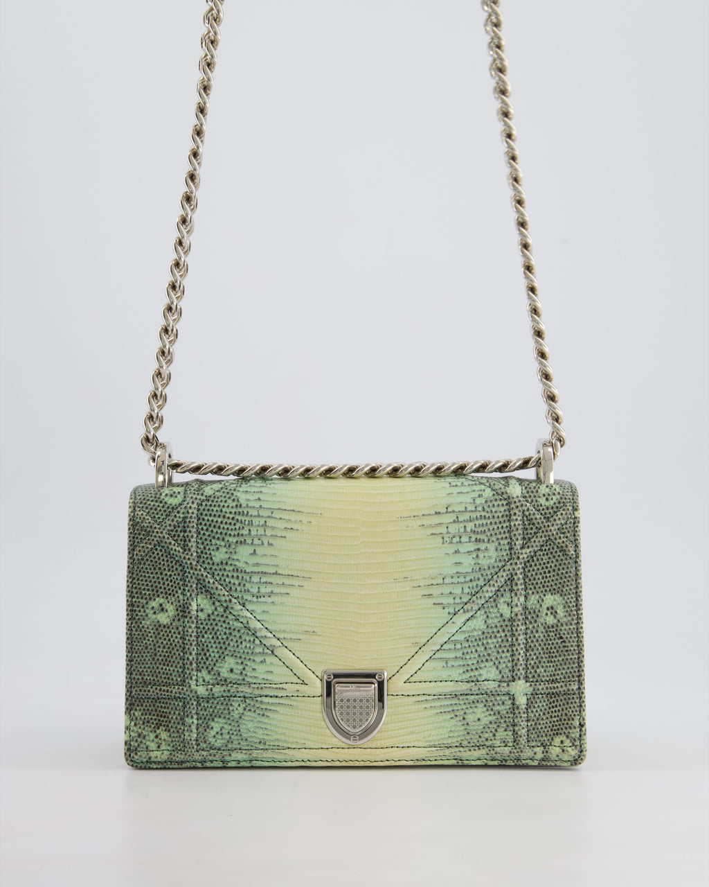 Christian Dior Small Diorama Flap Bag in Light Green Lizard With Silver Hardware