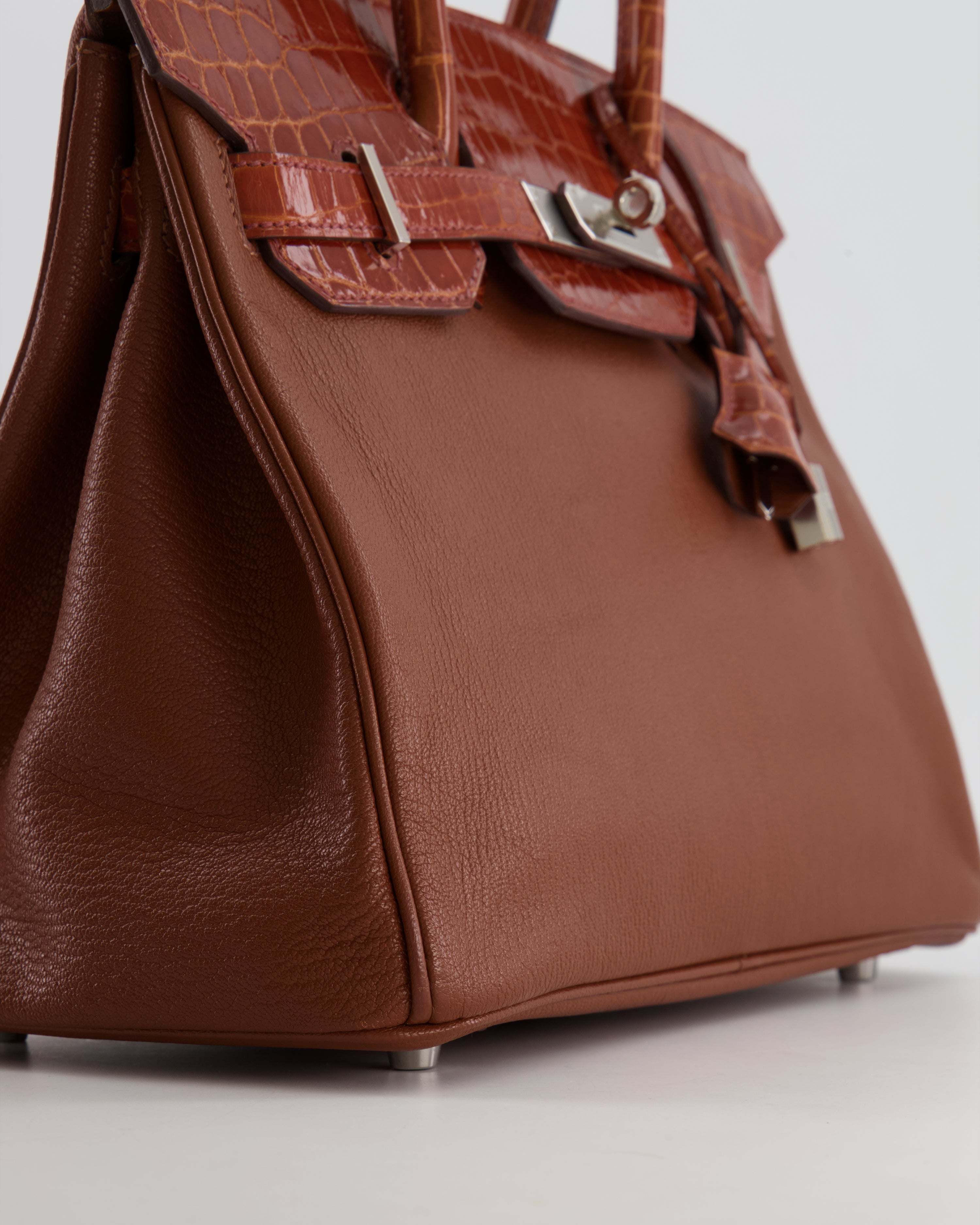 Hermès Birkin 30 Touch Bag in Noisette Chèvre Mysore and Etrusque Crocodile Niloticus Leather with Palladium Hardware