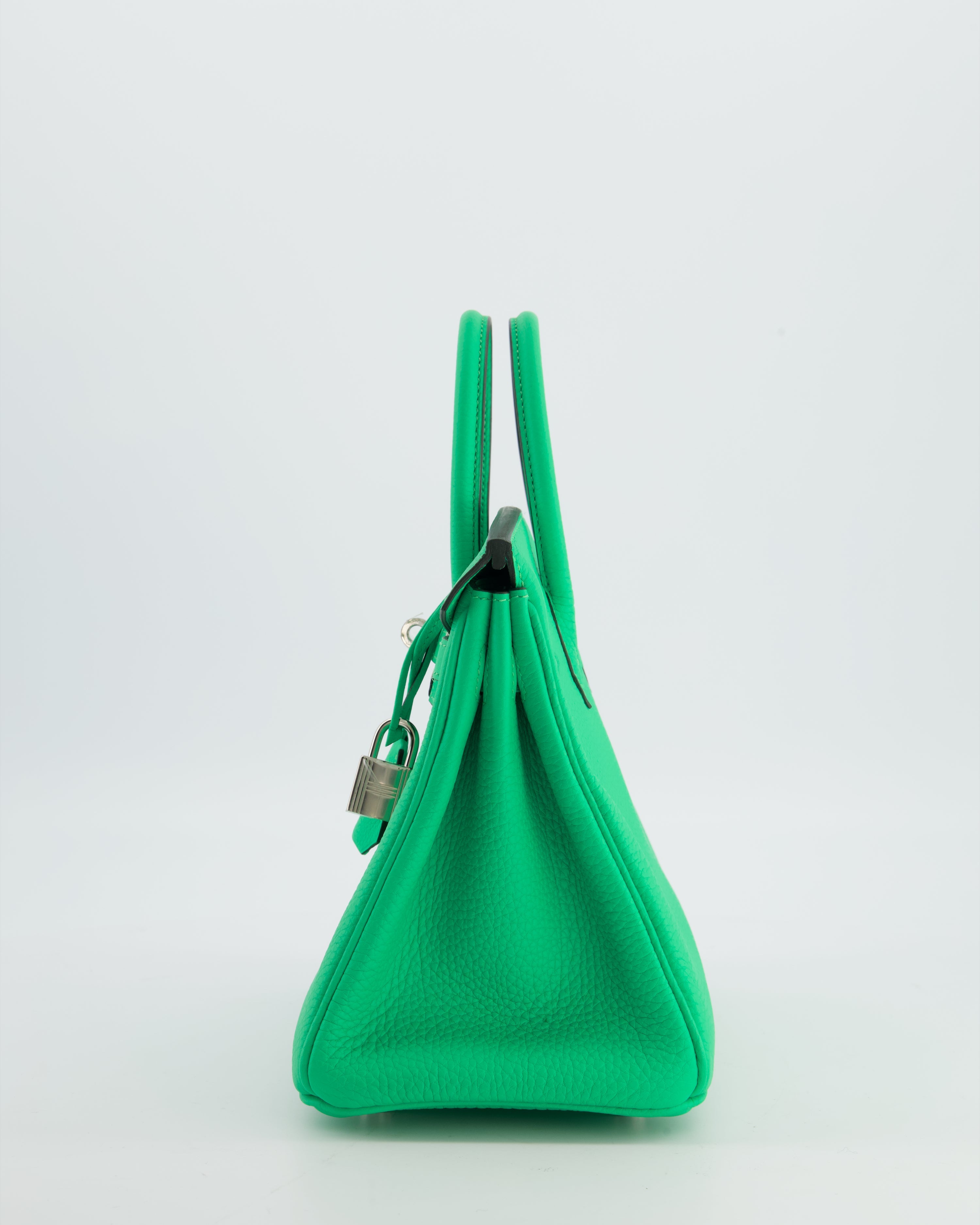 Hermès Birkin 25 Retourne Bag in Vert Comics Togo Leather with Palladium Hardware