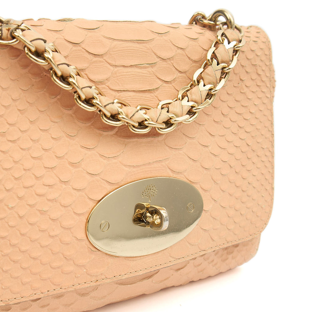 Mulberry Shoulder Bag Cecily  in Neutral, Exotic Effect Leather